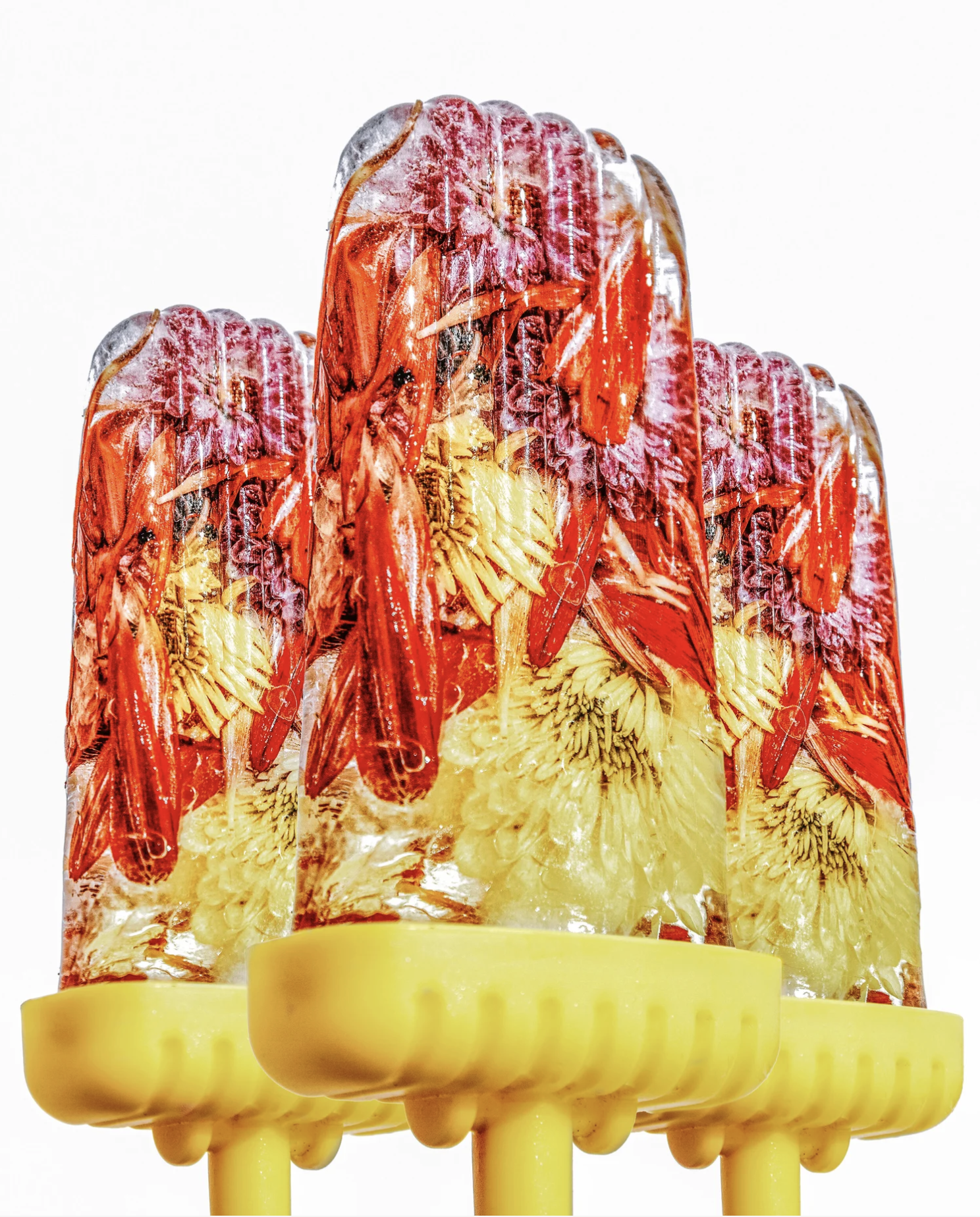 Screenshot 2026-01-07 at 9.45.55 AM.png