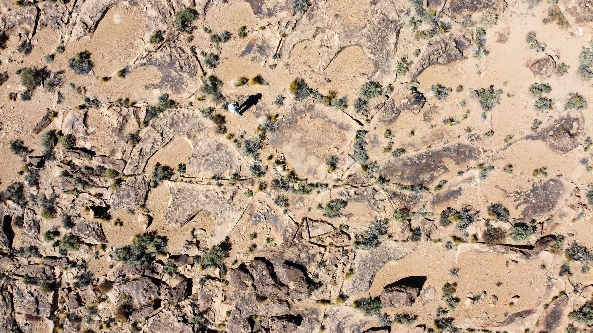 Joints in Bishop Tuff, Volcanic Tableland