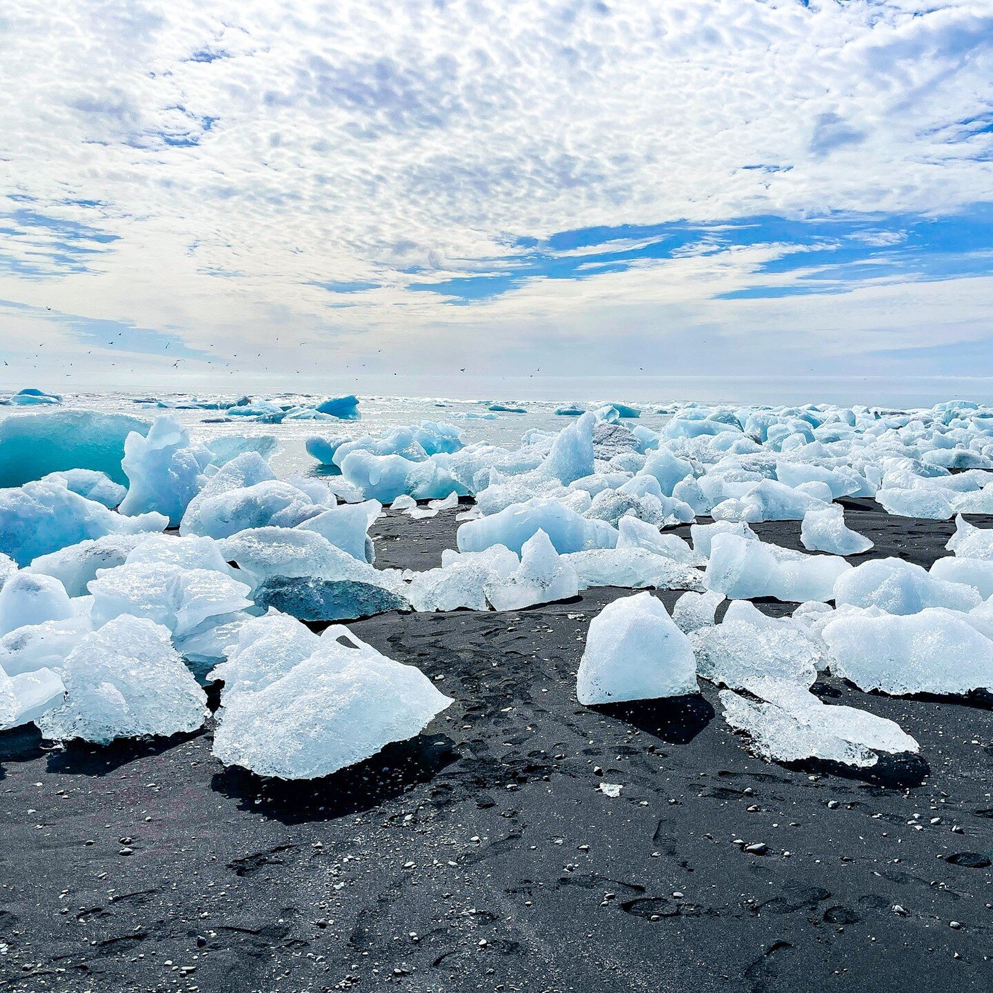 Melting iceberg bits stranded by the tide, Diamond Beach, J&ouml;kuls&aacute;rl&oacute;n, Iceland