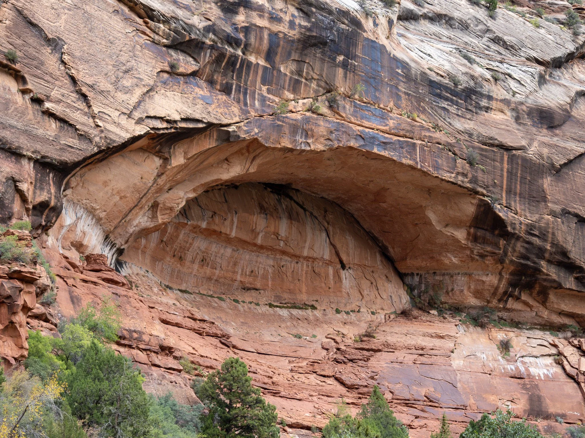 Arch, seeps, and granary, Zion National Park