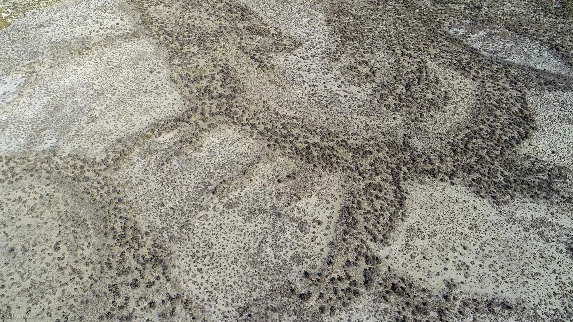 Abandoned meanders, Owens River