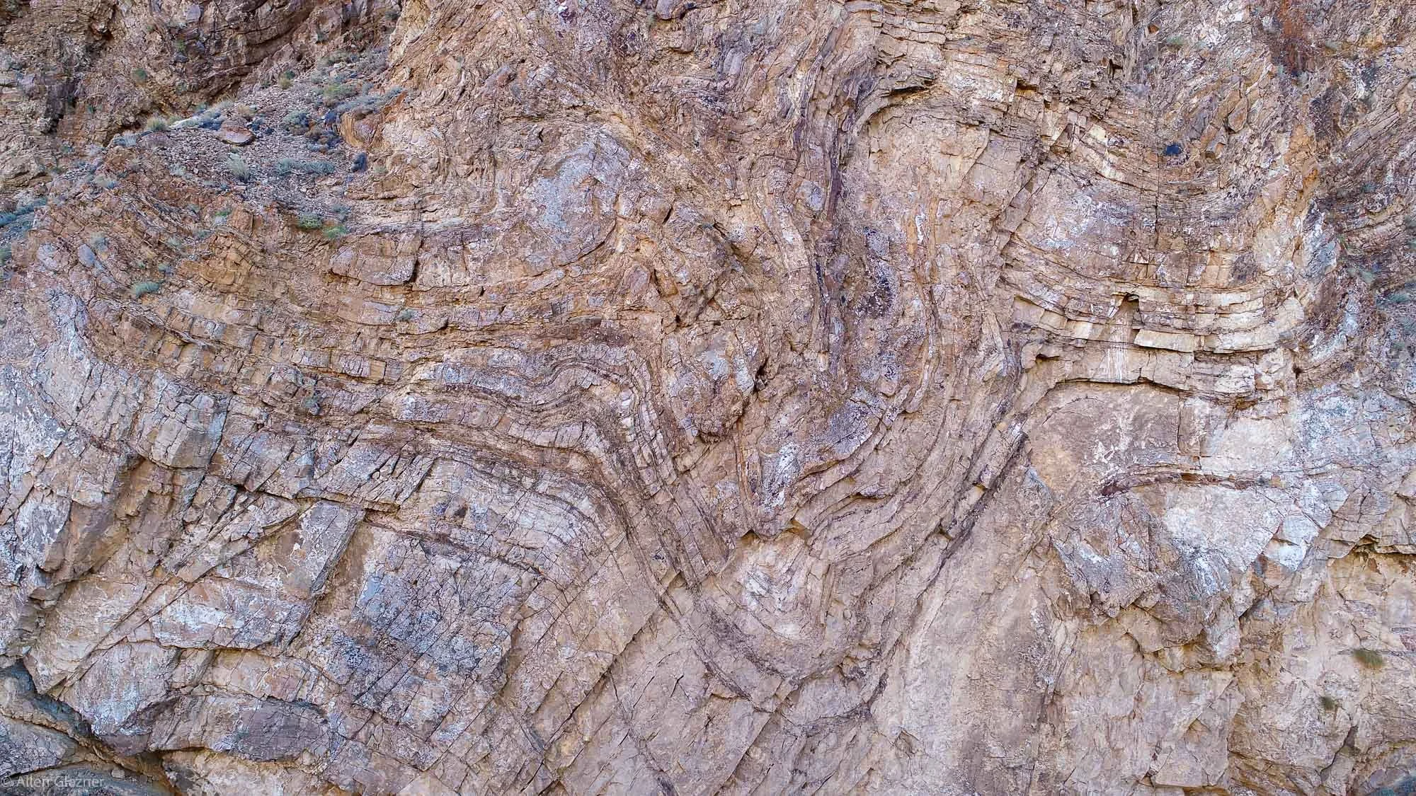 Fold in Reed Formation, Devil's Gate