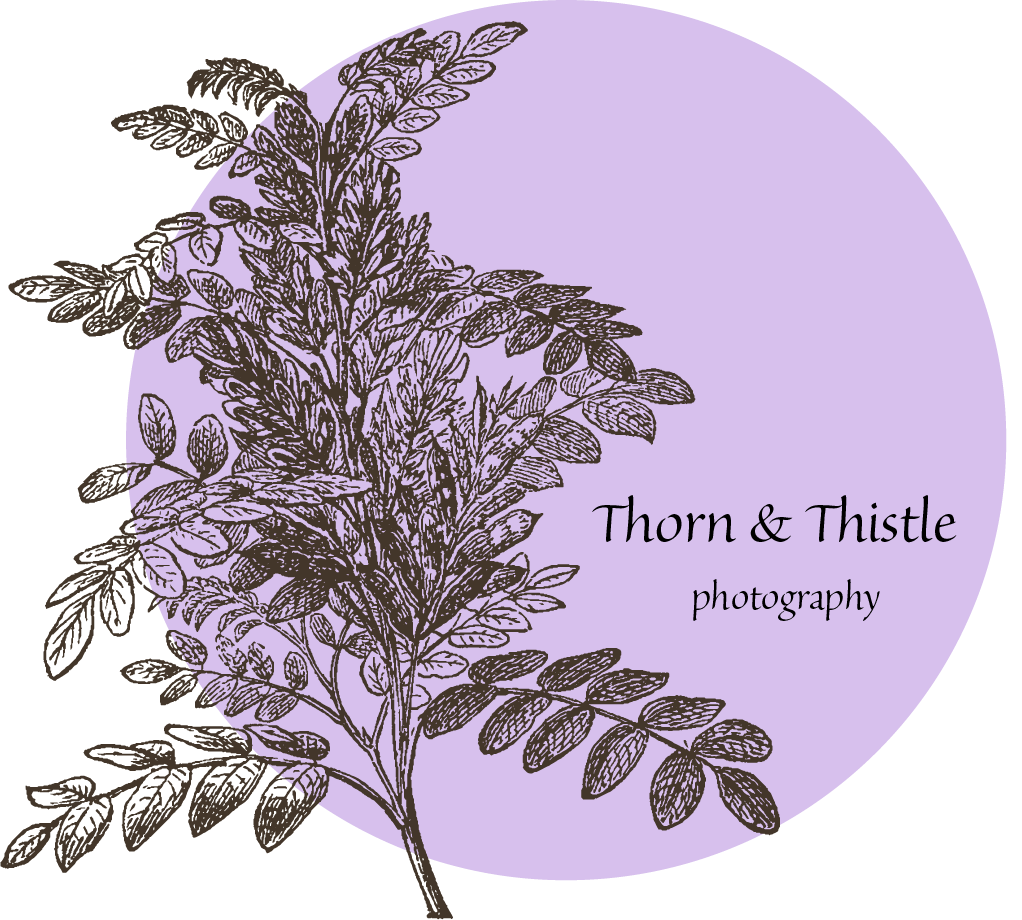 Thorn &amp; Thistle Photography