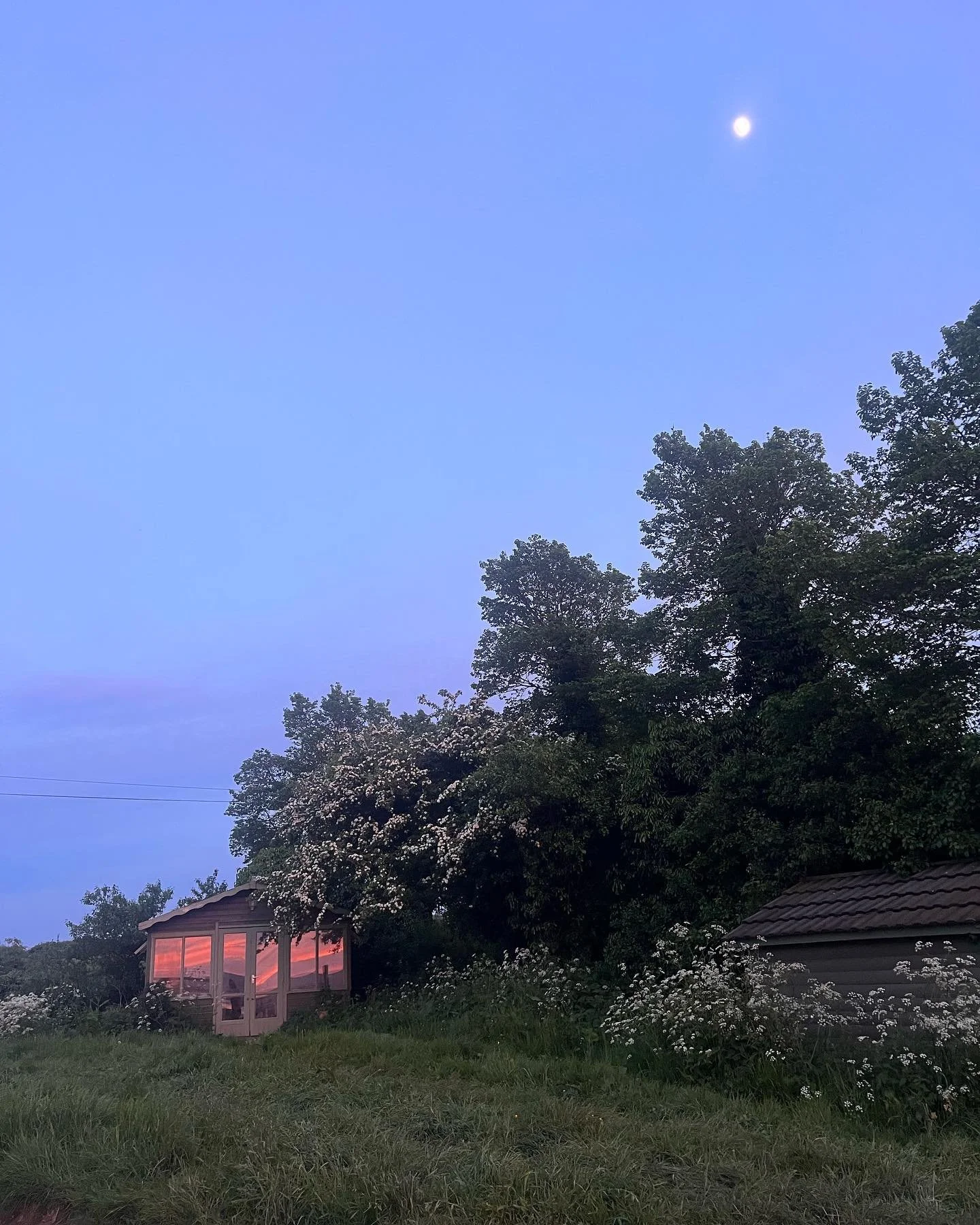 Studio views at twilight 

#homestudio#sunmerhousestudio
#studiopotter #womanartist #potteryworkshop #potteryofinstagram #kernow #kernowmaker #supportsmallbusiness #artistmother #motherartist #makingceramics #keramic #keramique #ceramique #cornishcoa