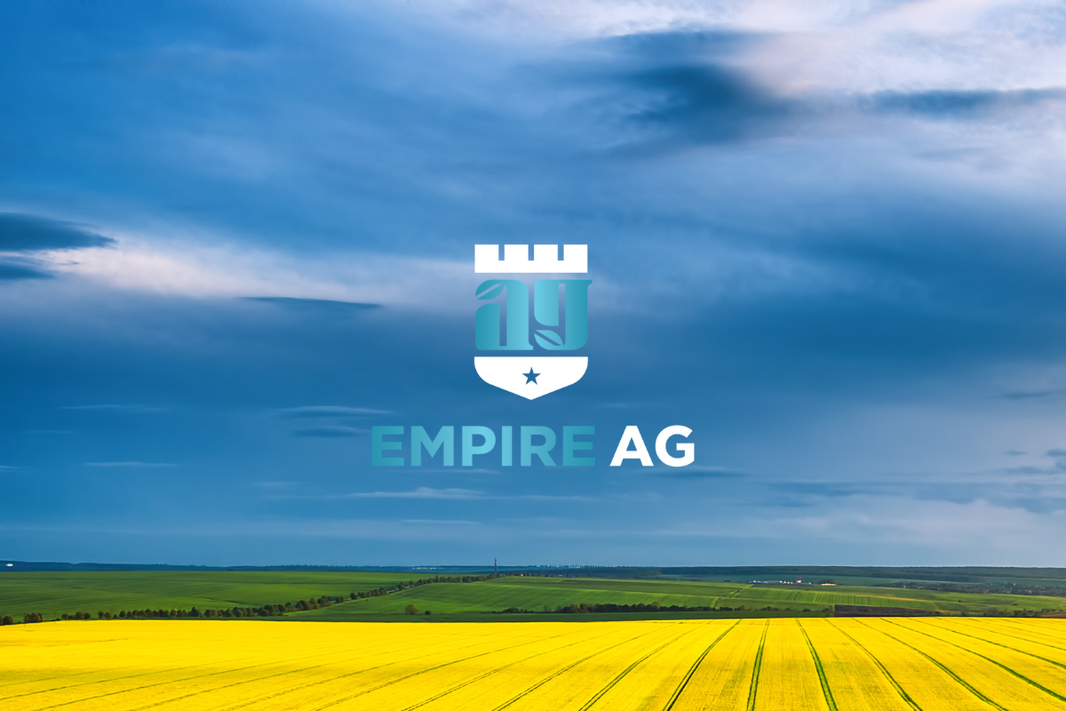 Year-End Charitable Donations: Tax Strategy and Community Impact