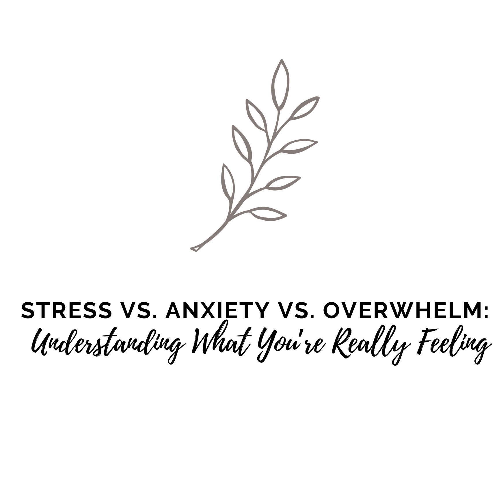 Stress vs. Anxiety vs. Overwhelm: Understanding What You’re Really Feeling&nbsp;