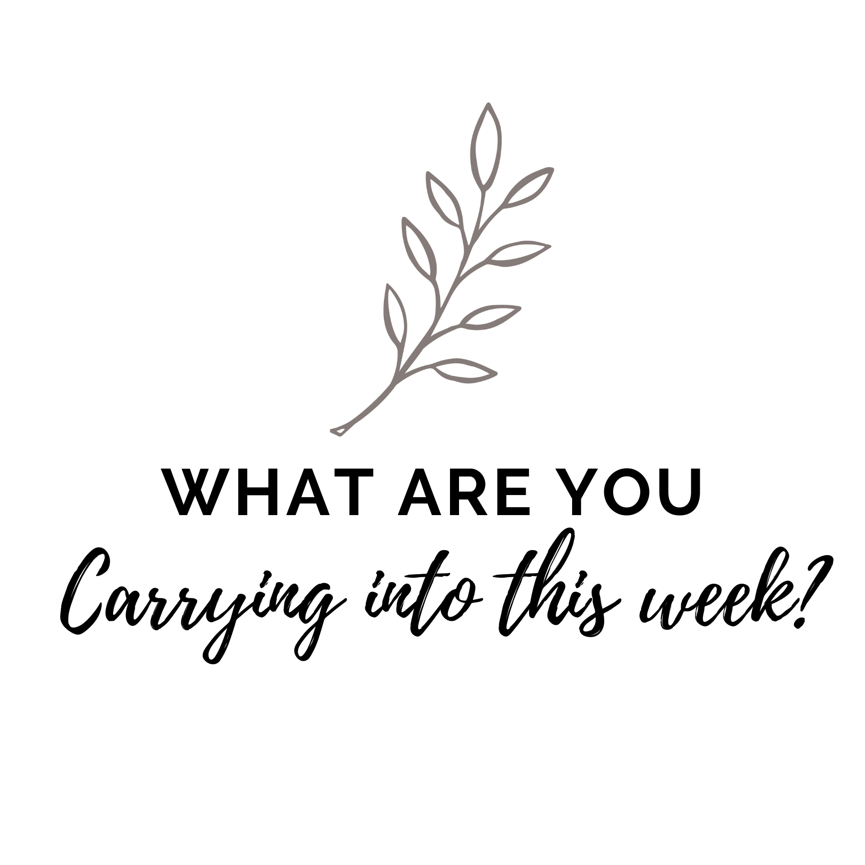 What Are You Carrying Into This Week?