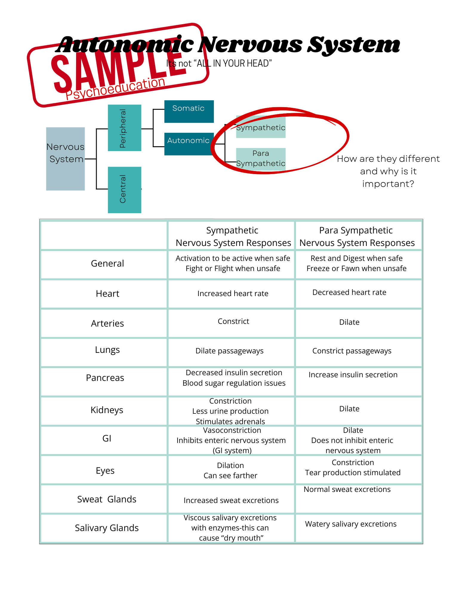 Book Worksheets.png