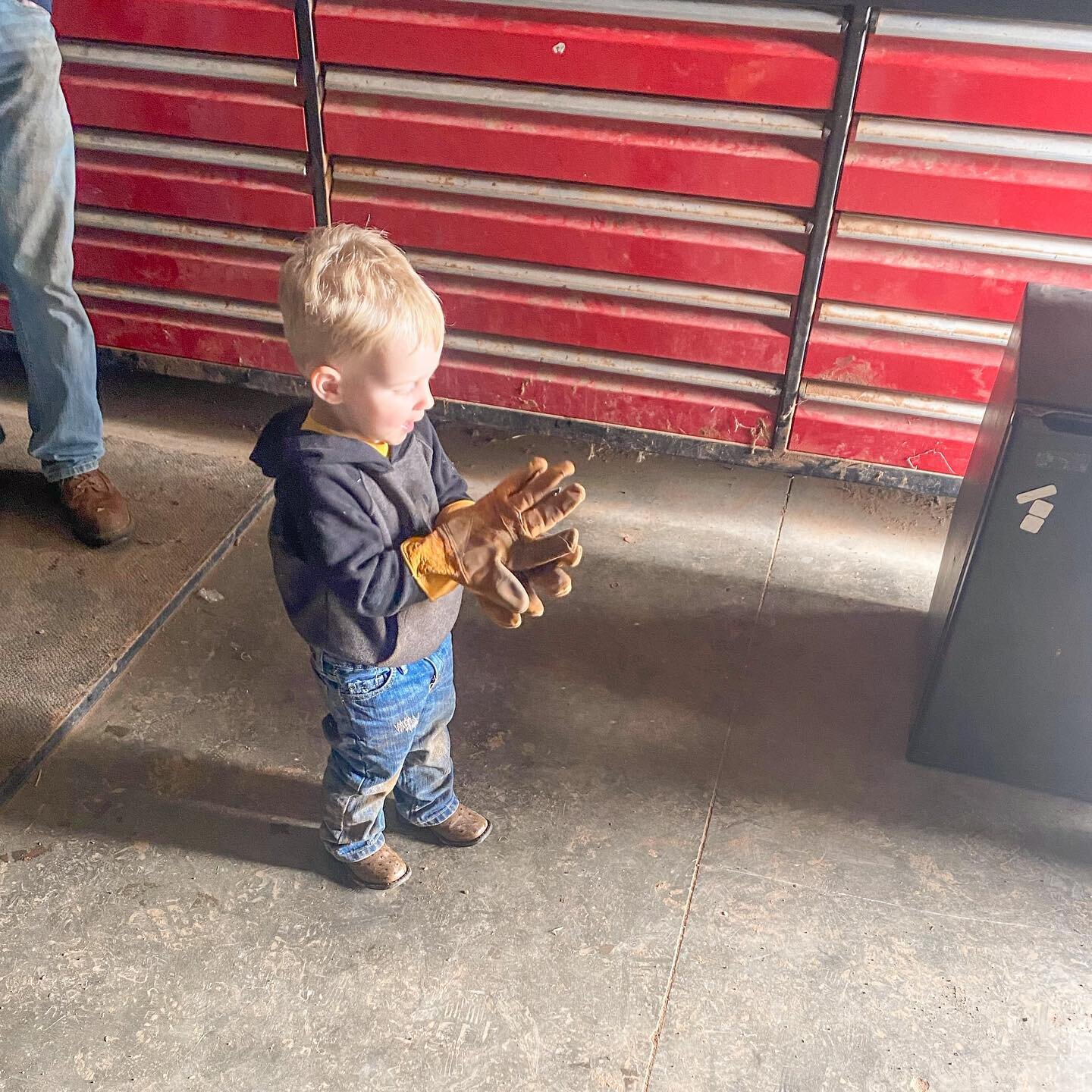 I. Cannot. 😍

Pictures from Ben like this are the best. This little dude was so dang excited to go to the farm with Daddy today!  I cannot wait to watch those little hands learn alongside his Daddy and Grandad over the years. 

#CandCfarms #TPayne #
