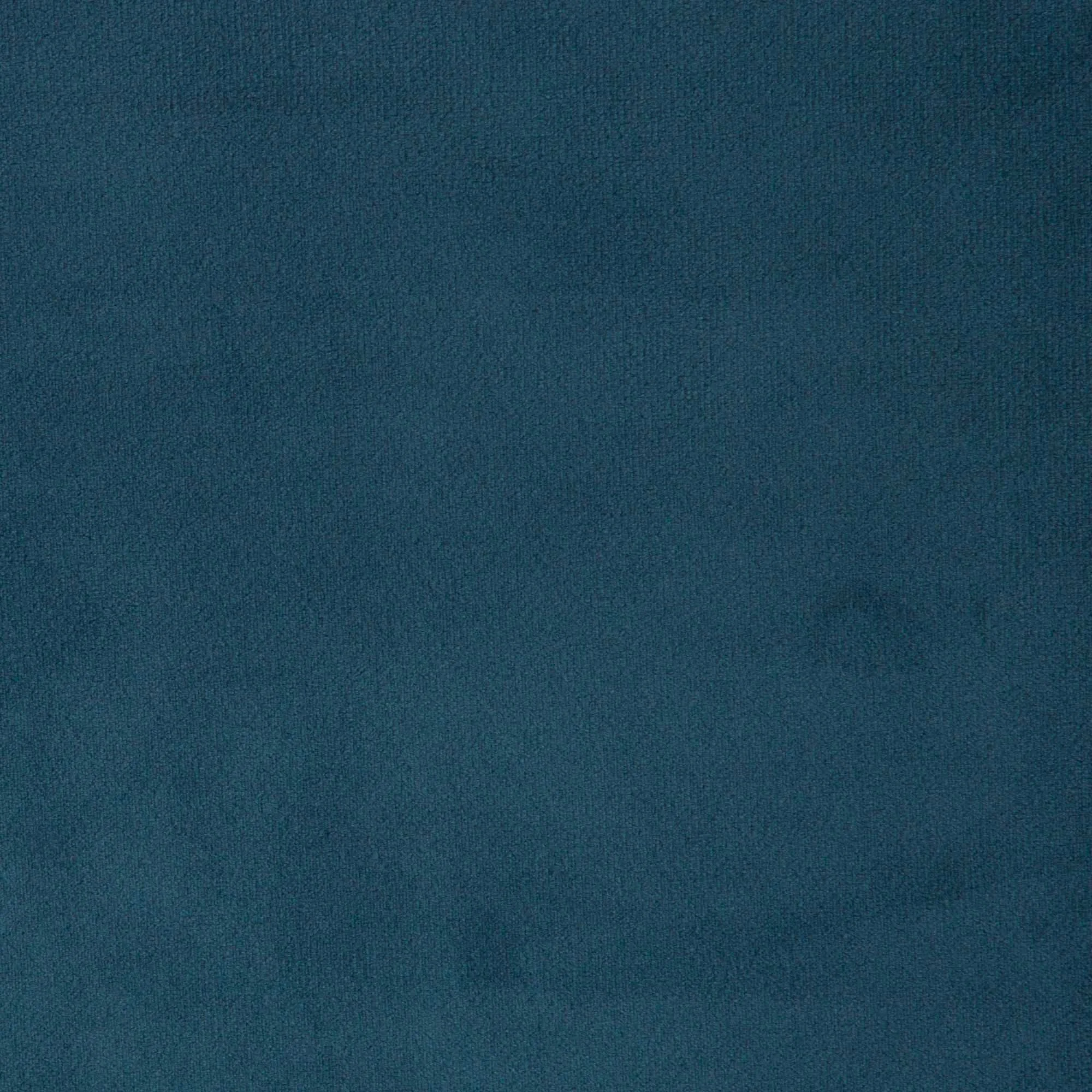 Pacific Velvet