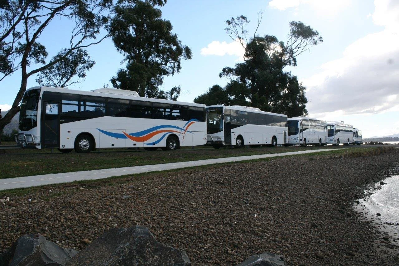 Row of white buses parked along a lakeside path with trees overhead.
