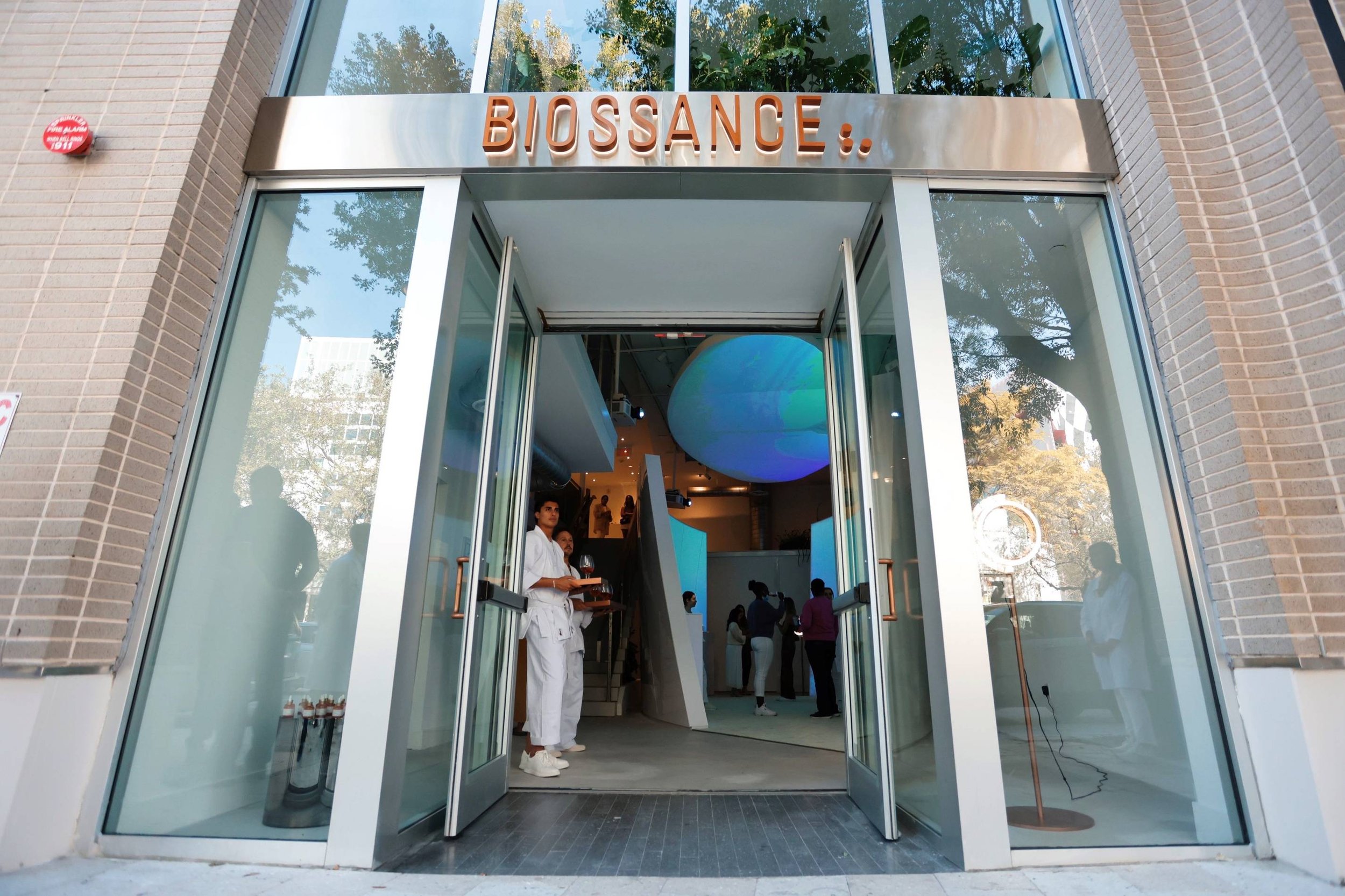 biossancestore3.jpg