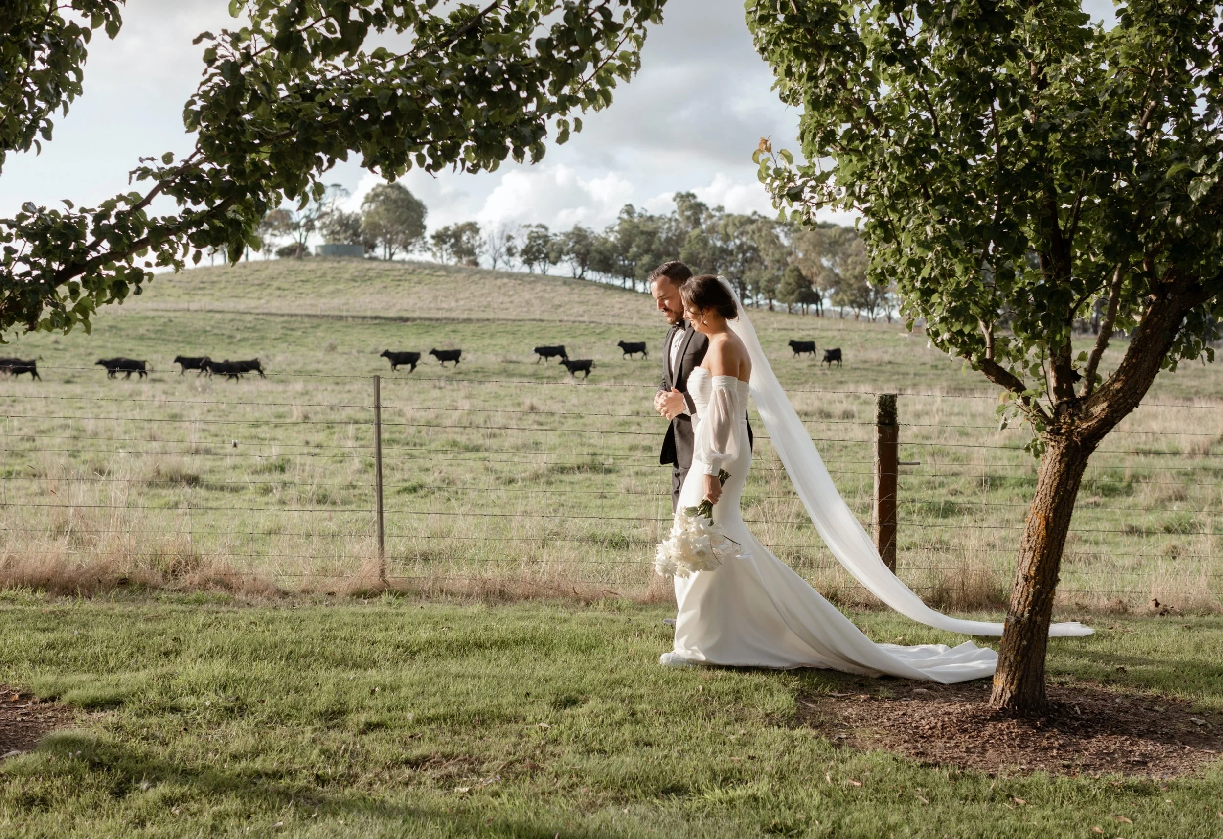 Sarah&Stu_8.jpg