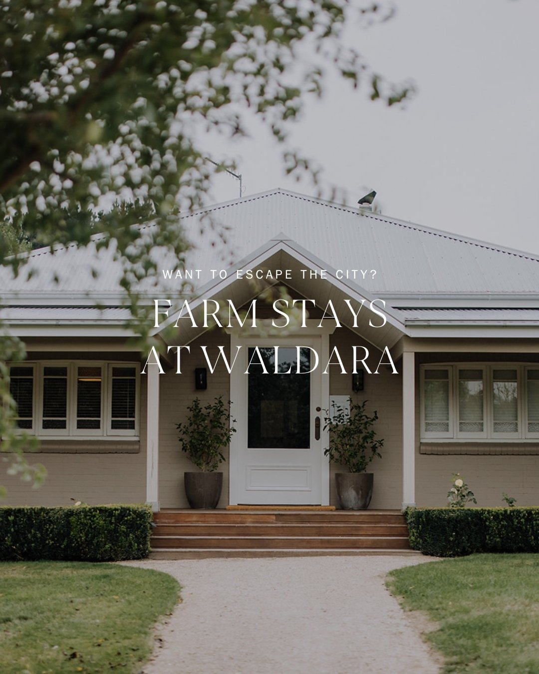 Authentic, Luxurious, Make It Yours! 

Whether it&rsquo;s work or play, let the wonder of Waldara be the inspiration for your next retreat, or family vacation, just 2.5 hours drive from Sydney 🌳🏡

Let the fun begin at Waldara Farm 🤍

#WaldaraFarm 