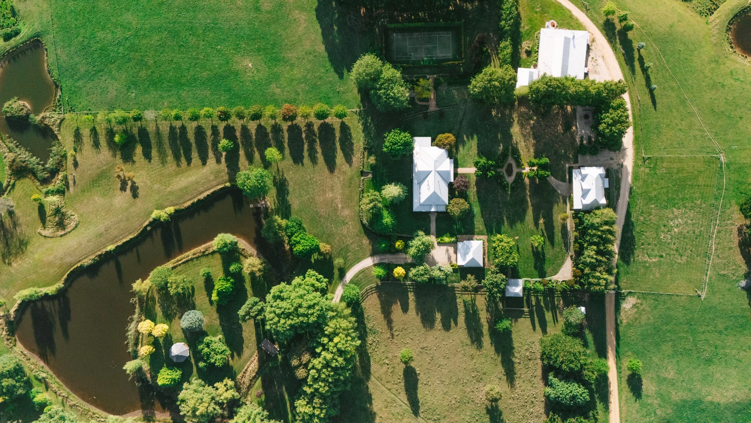 The Grounds
