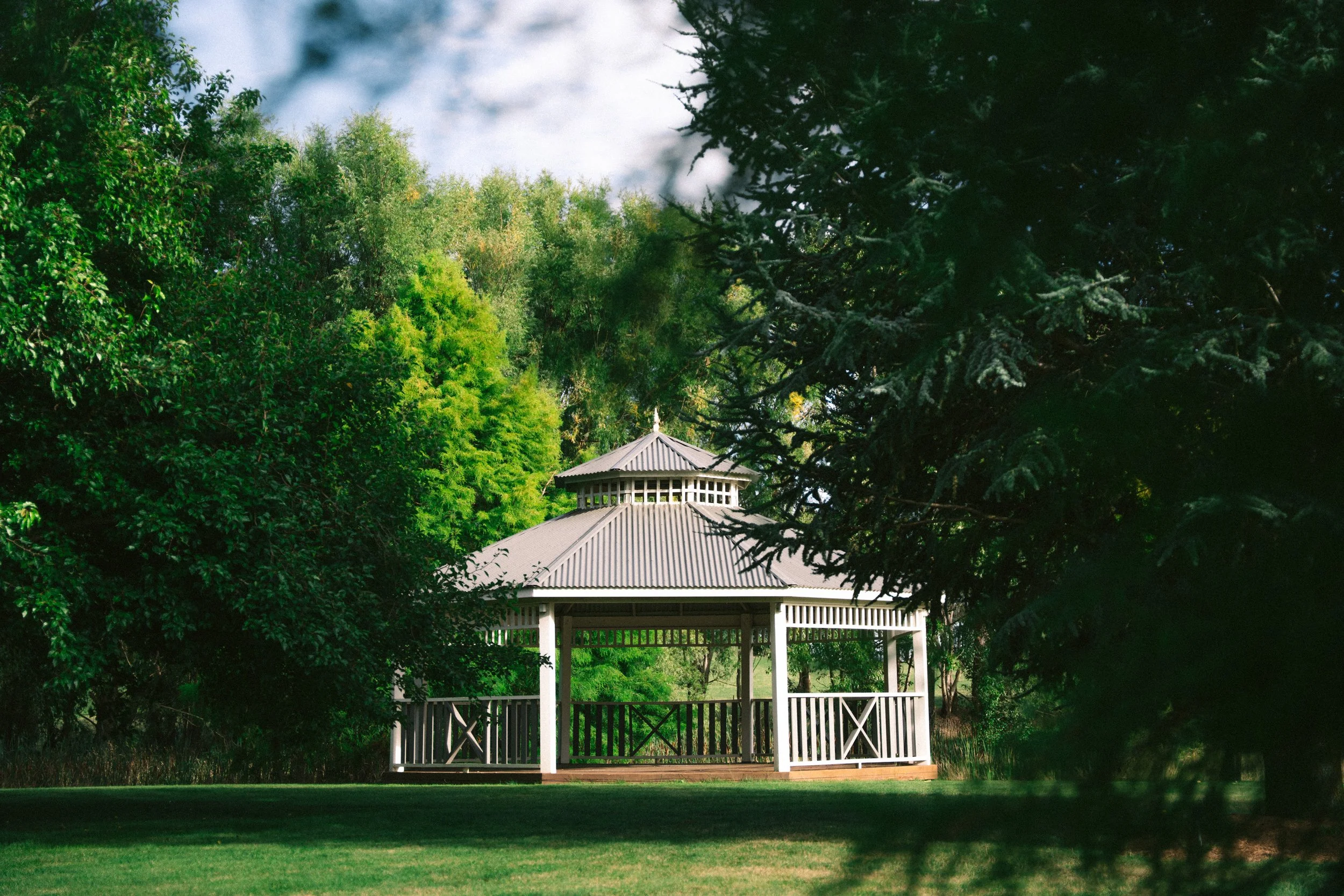 WaldaraFarm-MT-37.jpg