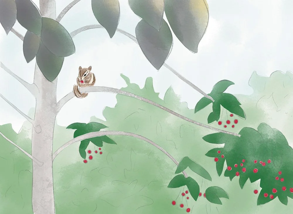 Chipmunkserviceberr-blog.jpg