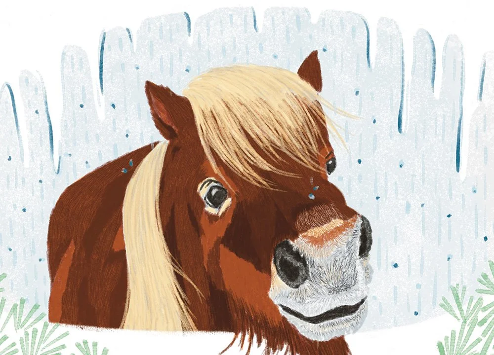 The Vocabulary of Melting