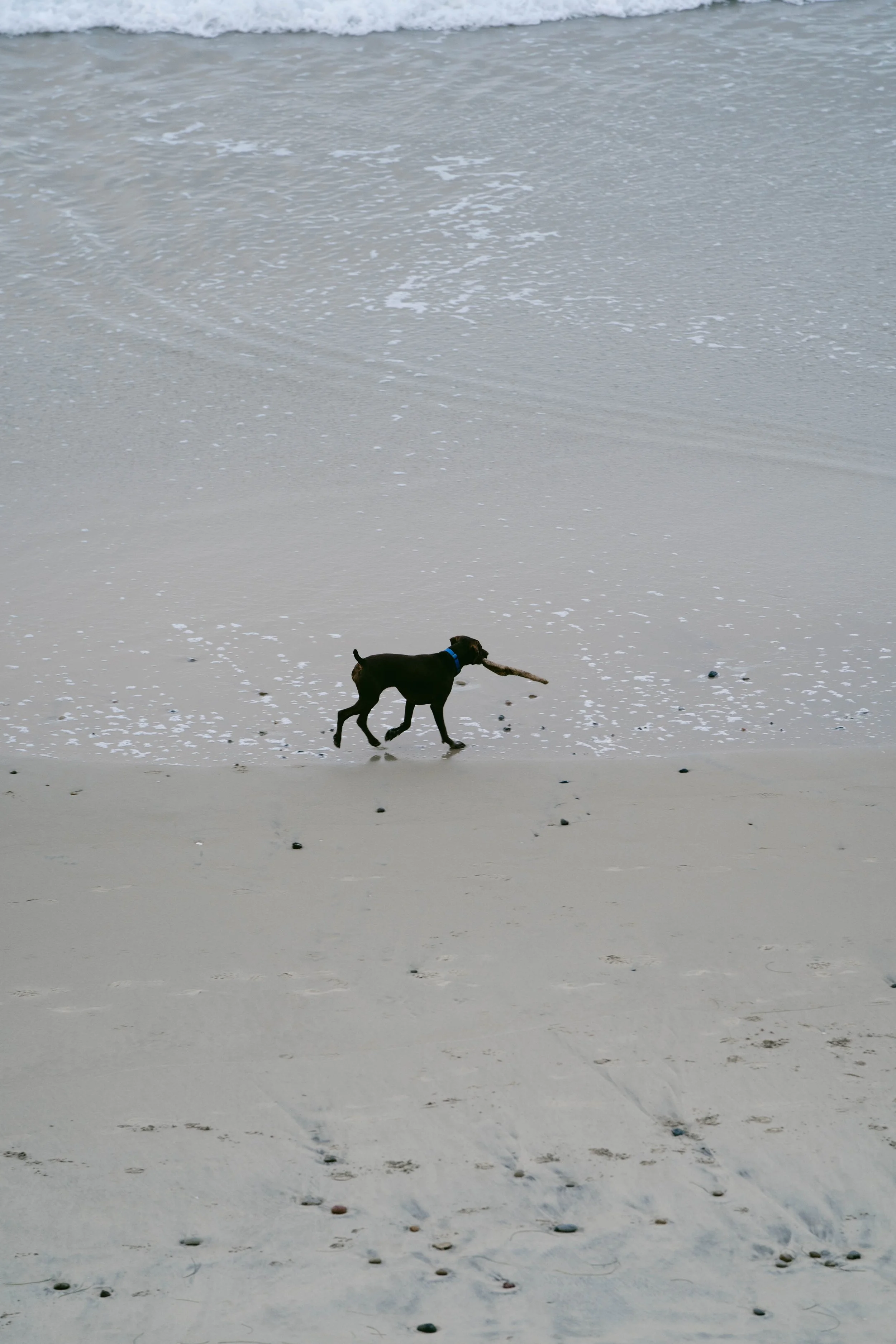 PB Surf-5.jpg