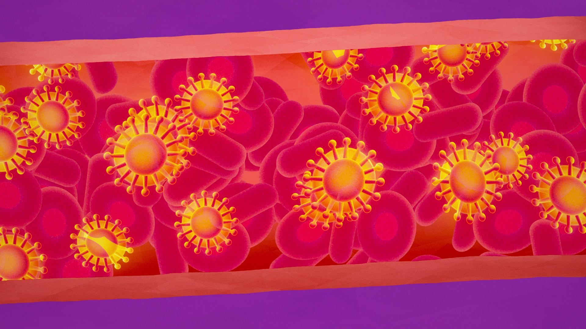 Hepatitis C virus cells in bloodstream.png