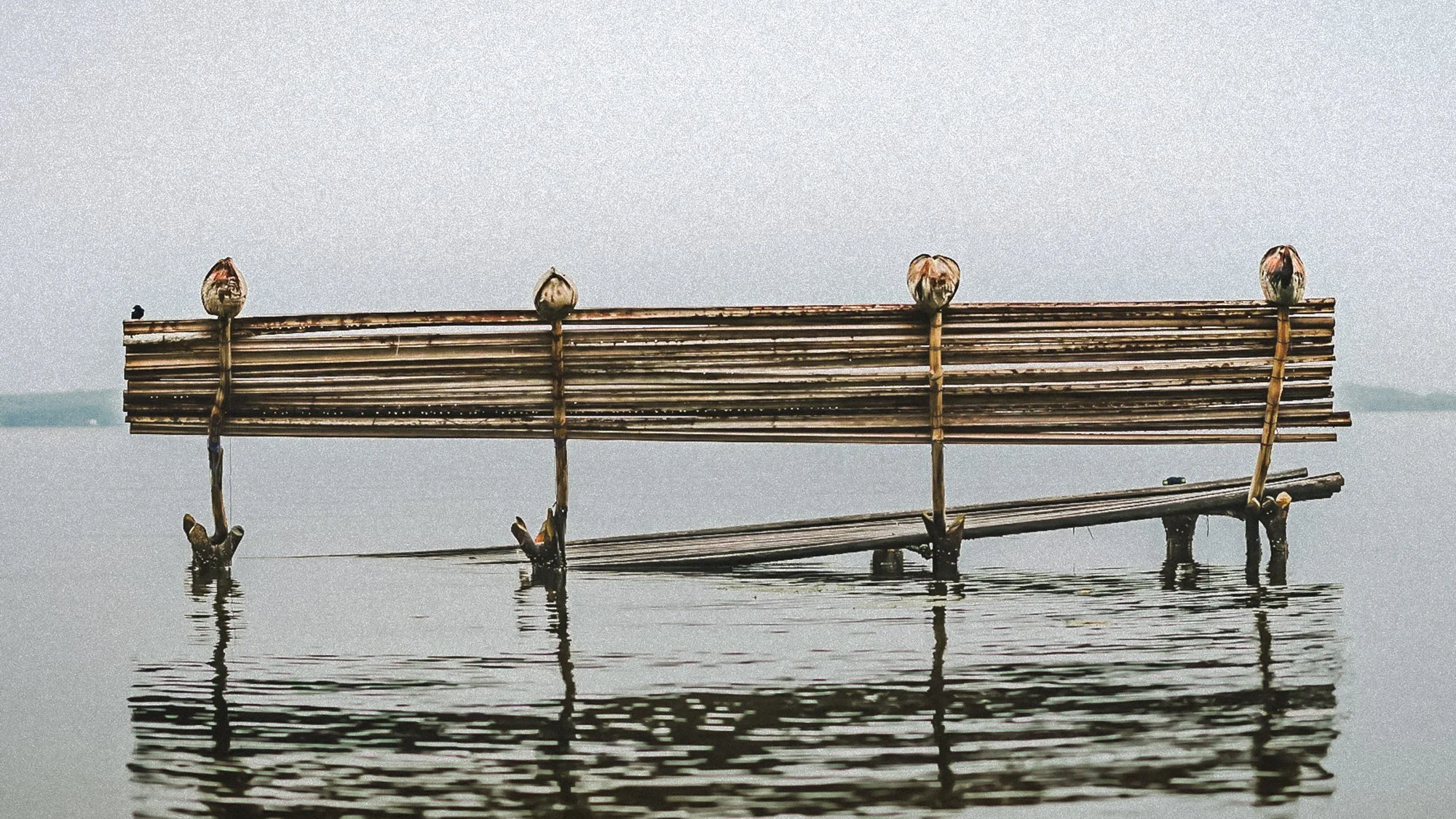 Bench.jpg