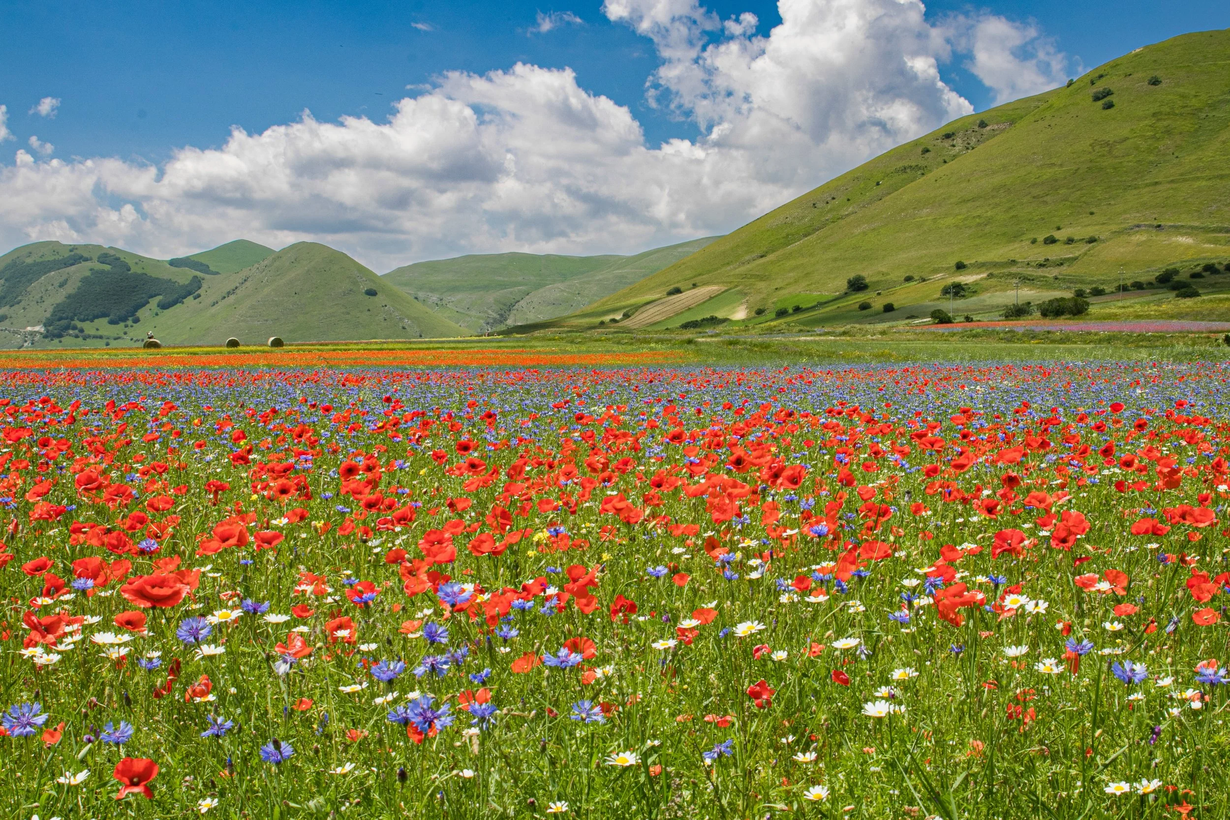 Castelluccio2.jpg