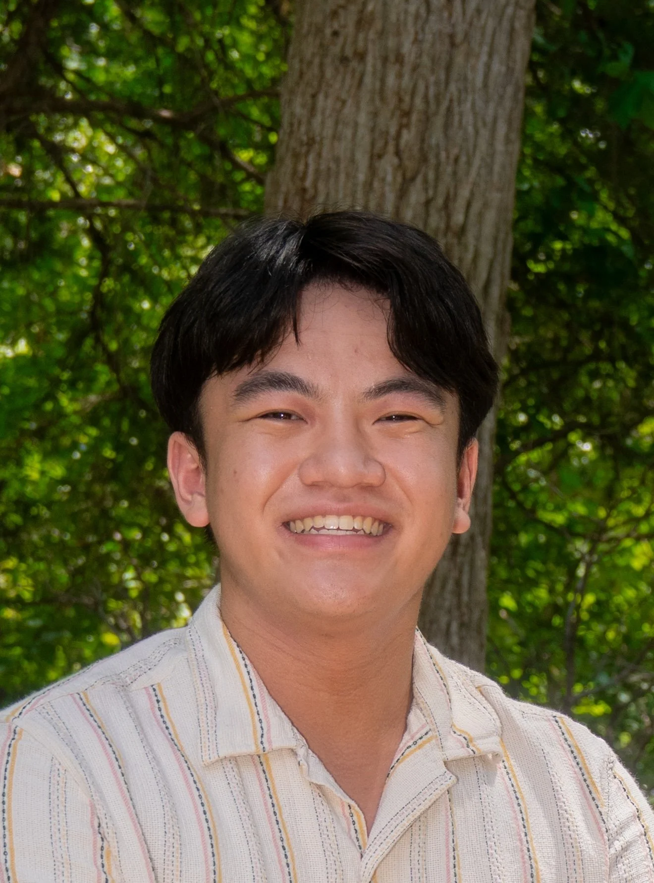 Vice President Internal