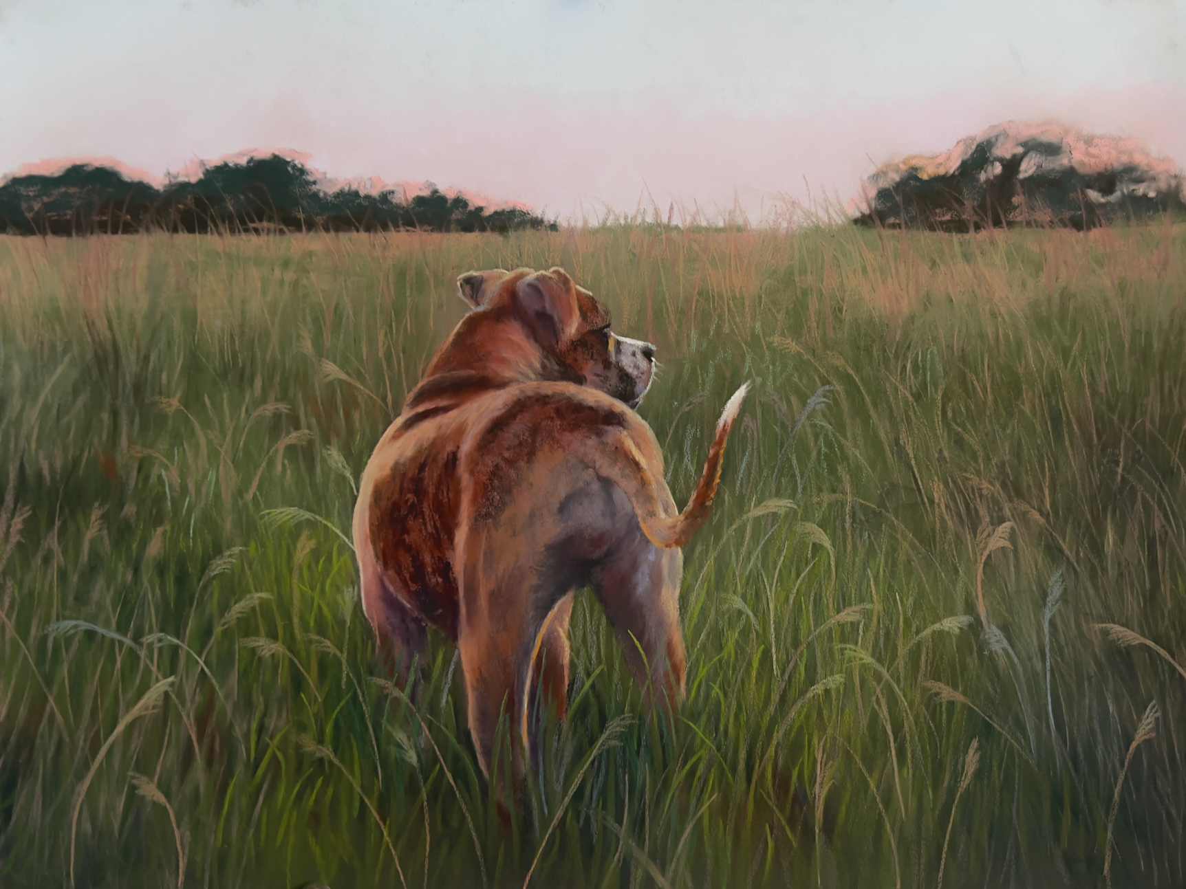 Lucy at Compound@0.5x.png