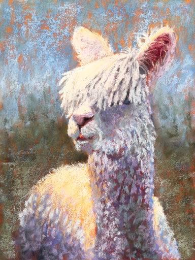 Llama 4 web@0.5x.png