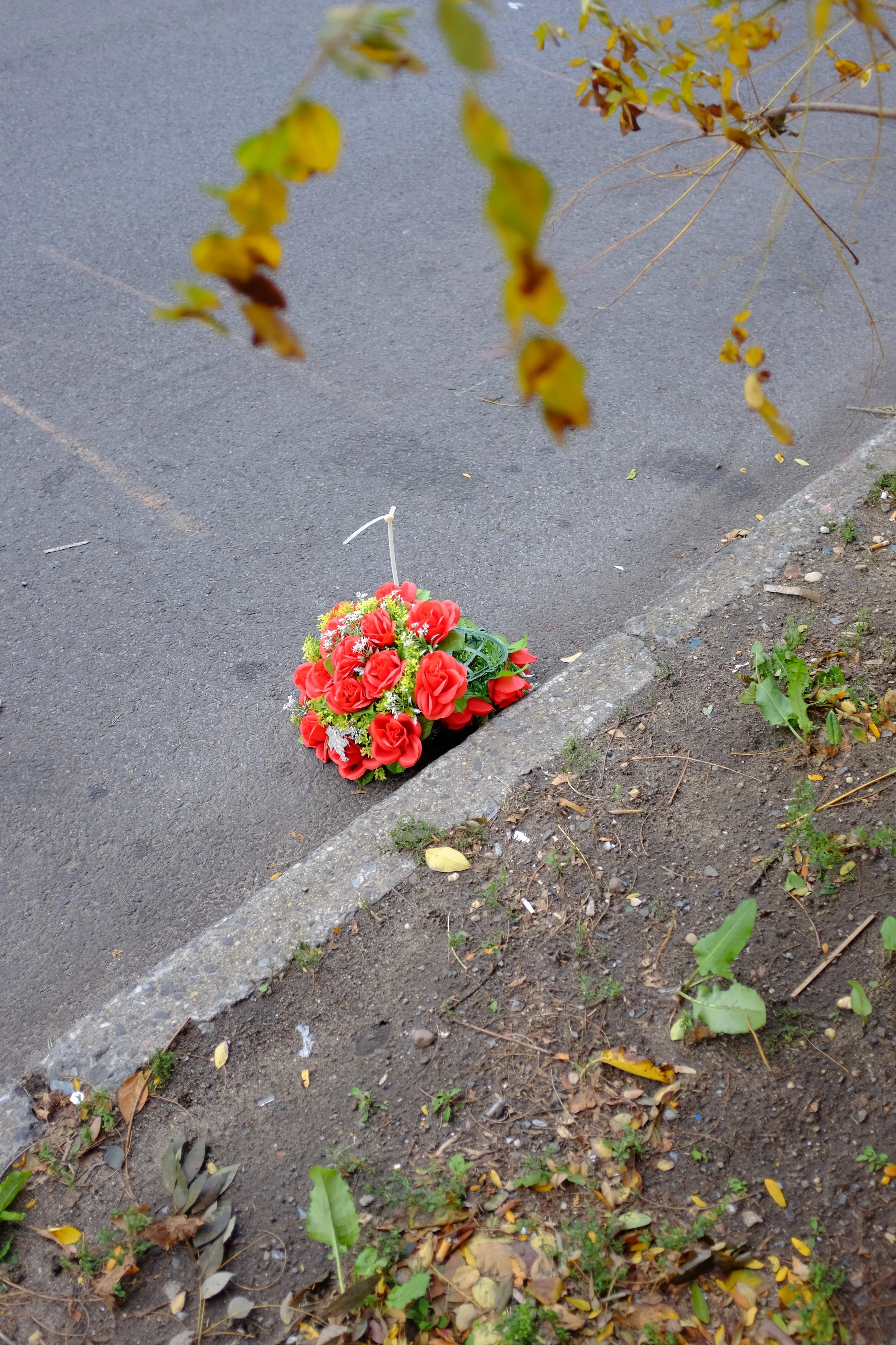 DSCF6942.JPG