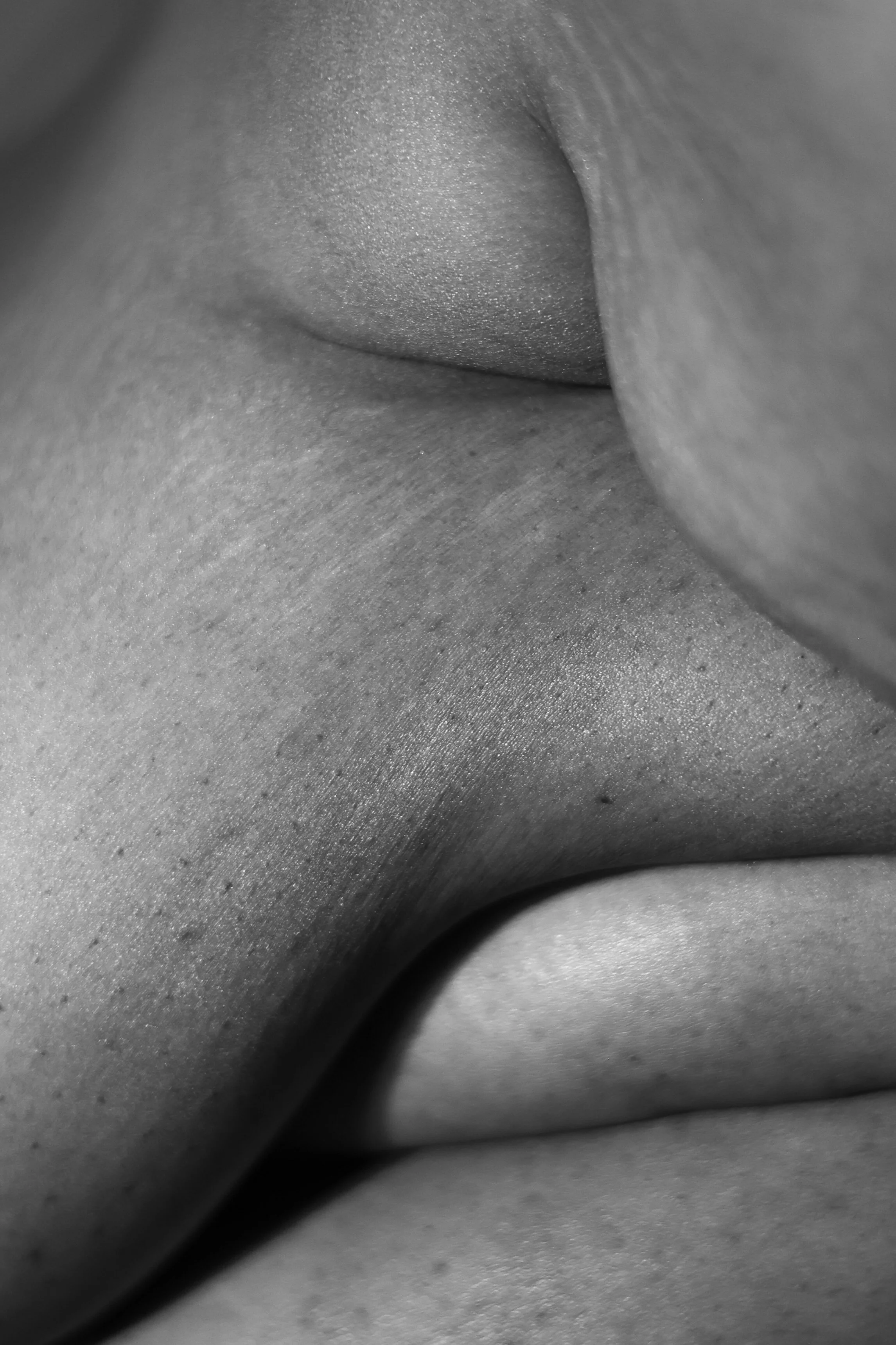BodySerielsContinued-02.jpg