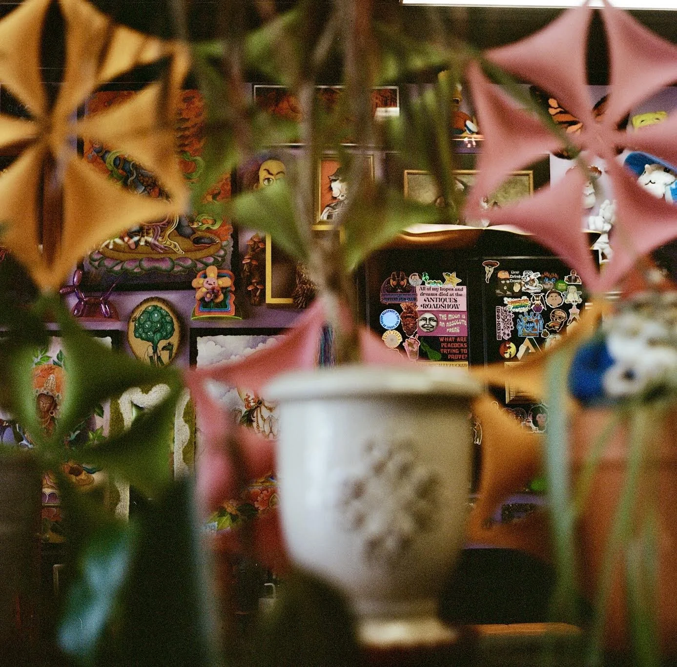 Mythical Wizard 
Kodak 120mm