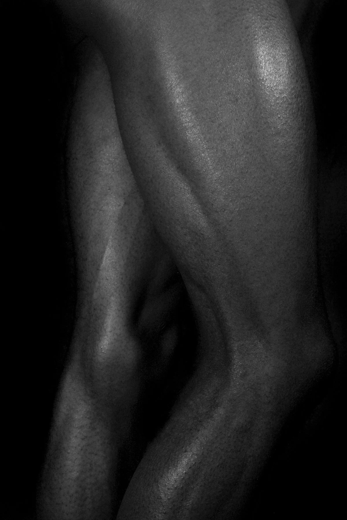 ShelbyWood_Legs copy.jpg