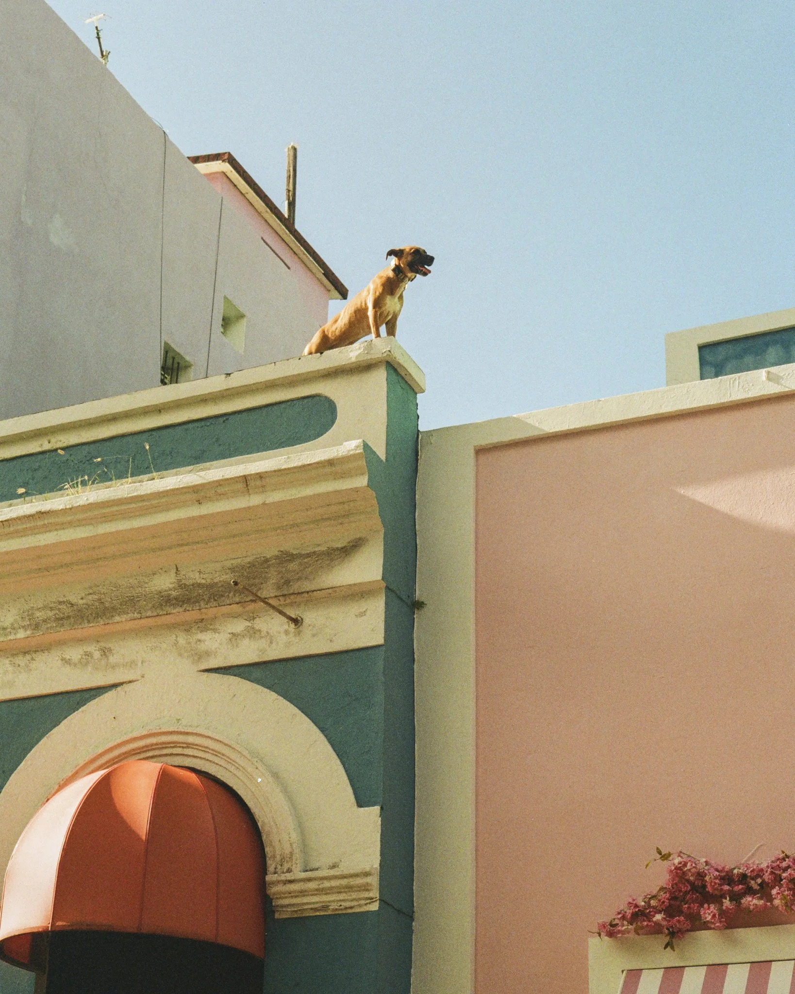 Untitled-5.jpg