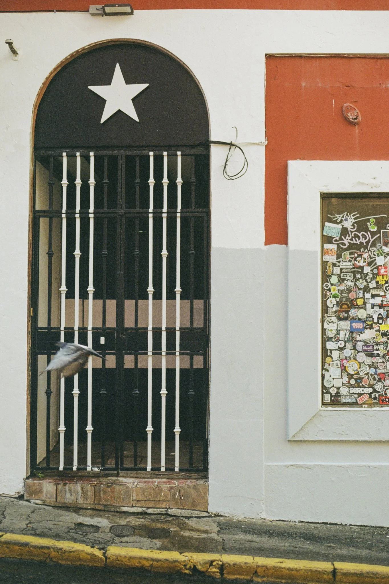 Untitled-3.jpg