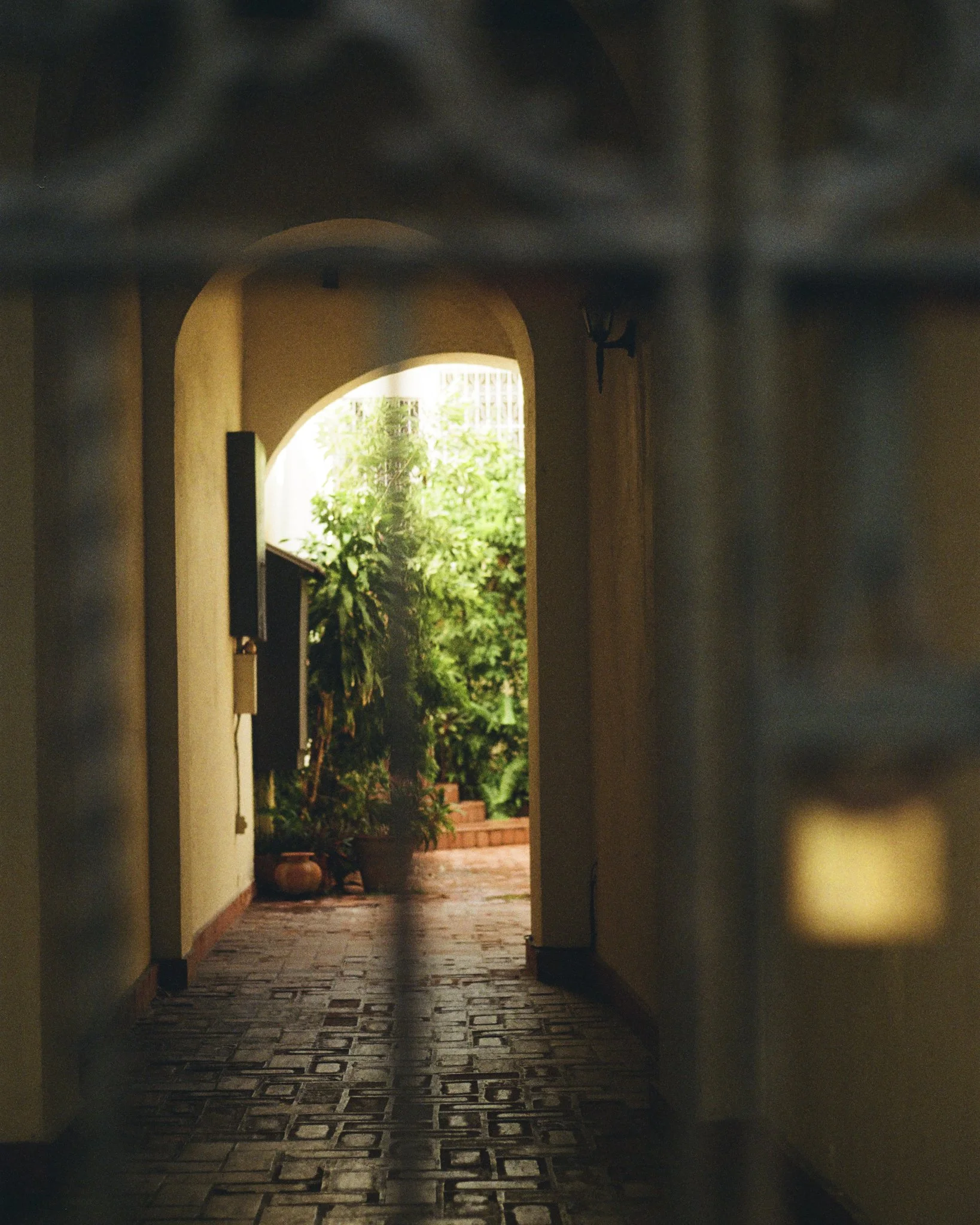 Untitled-7.jpg
