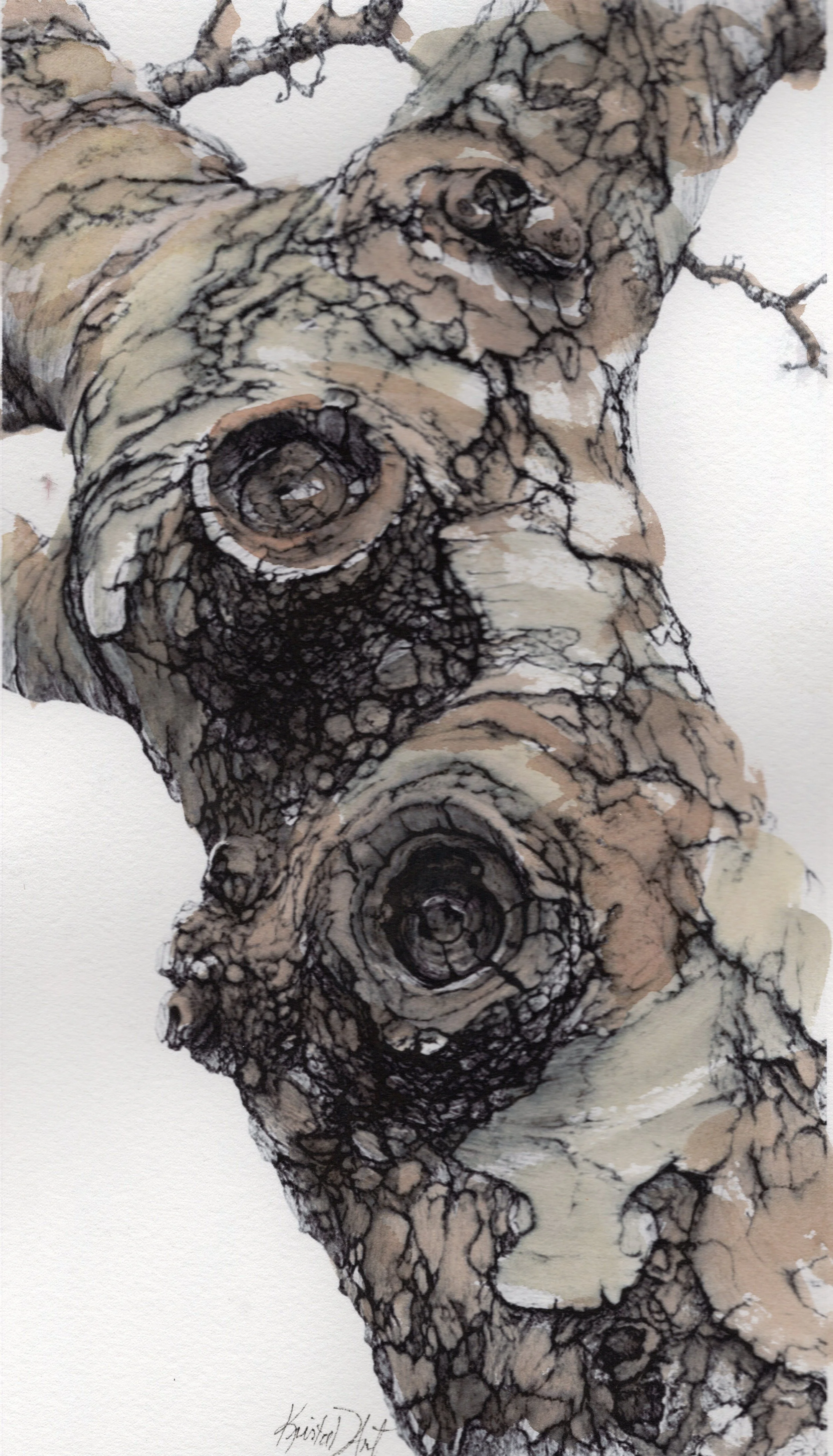 tree trunk.jpg