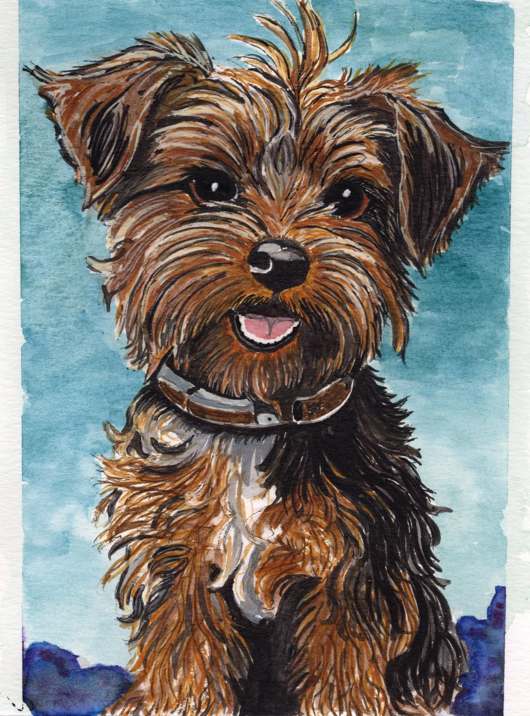 yorky.jpg