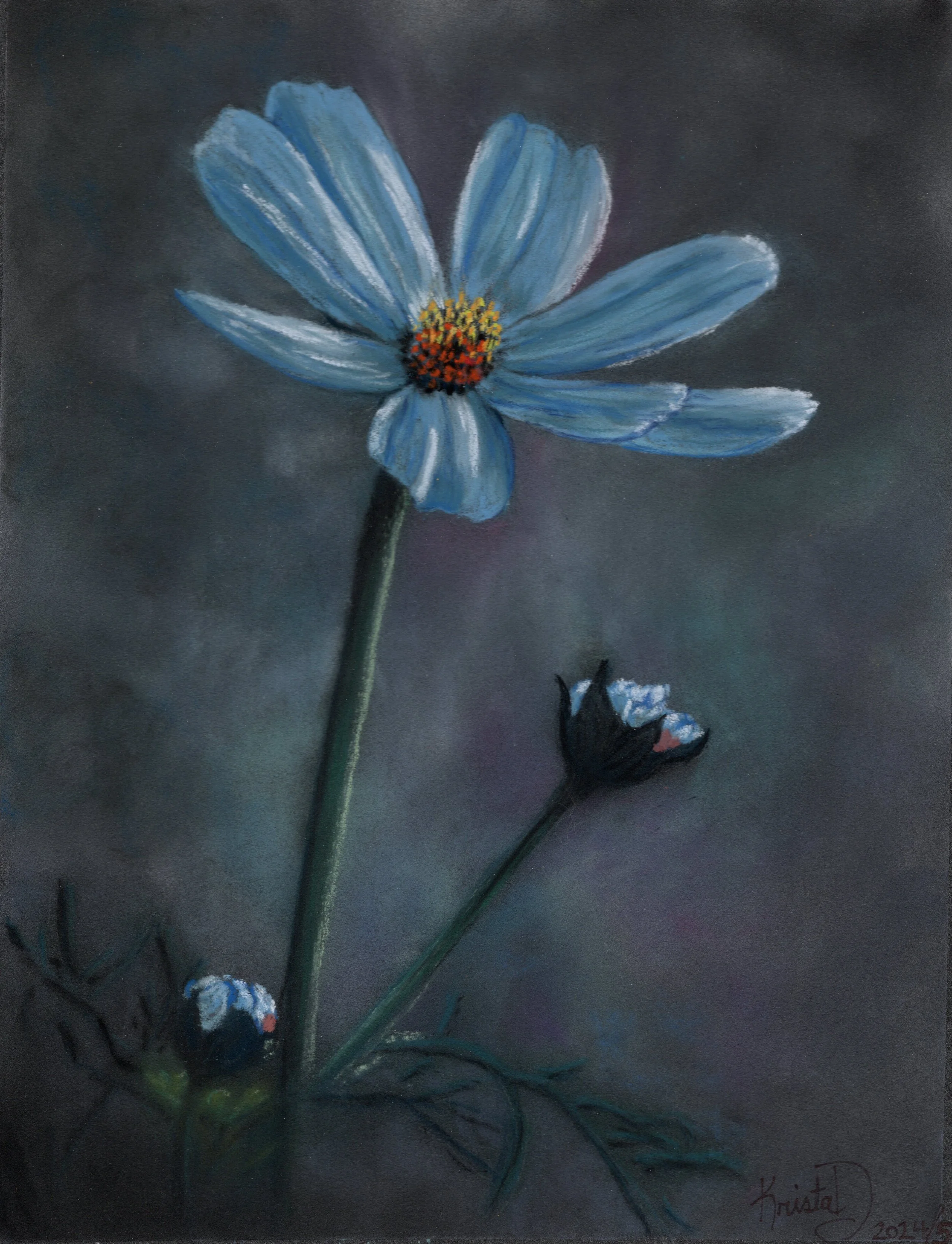 blue pastel flower.jpg