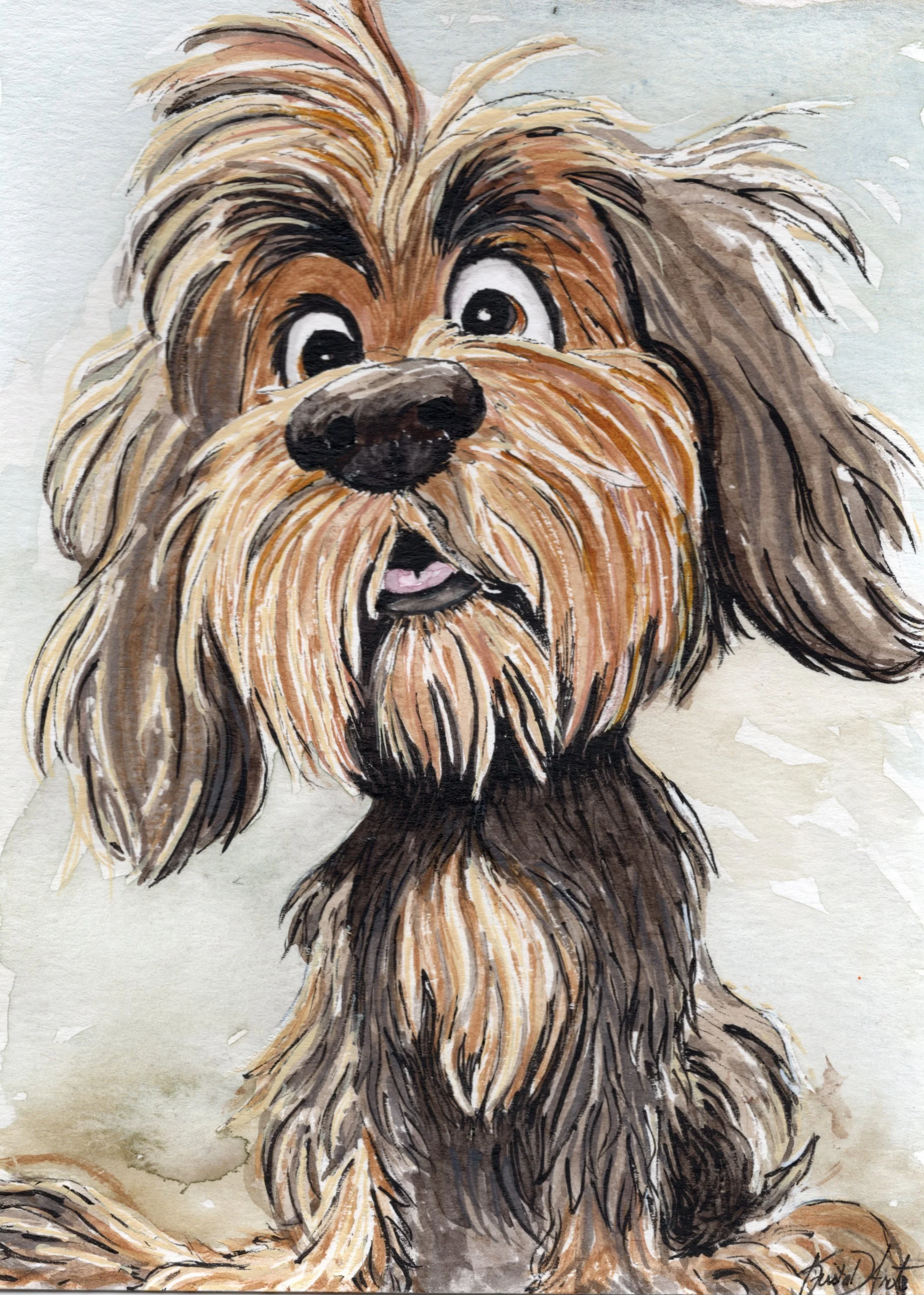 brown dog.jpg