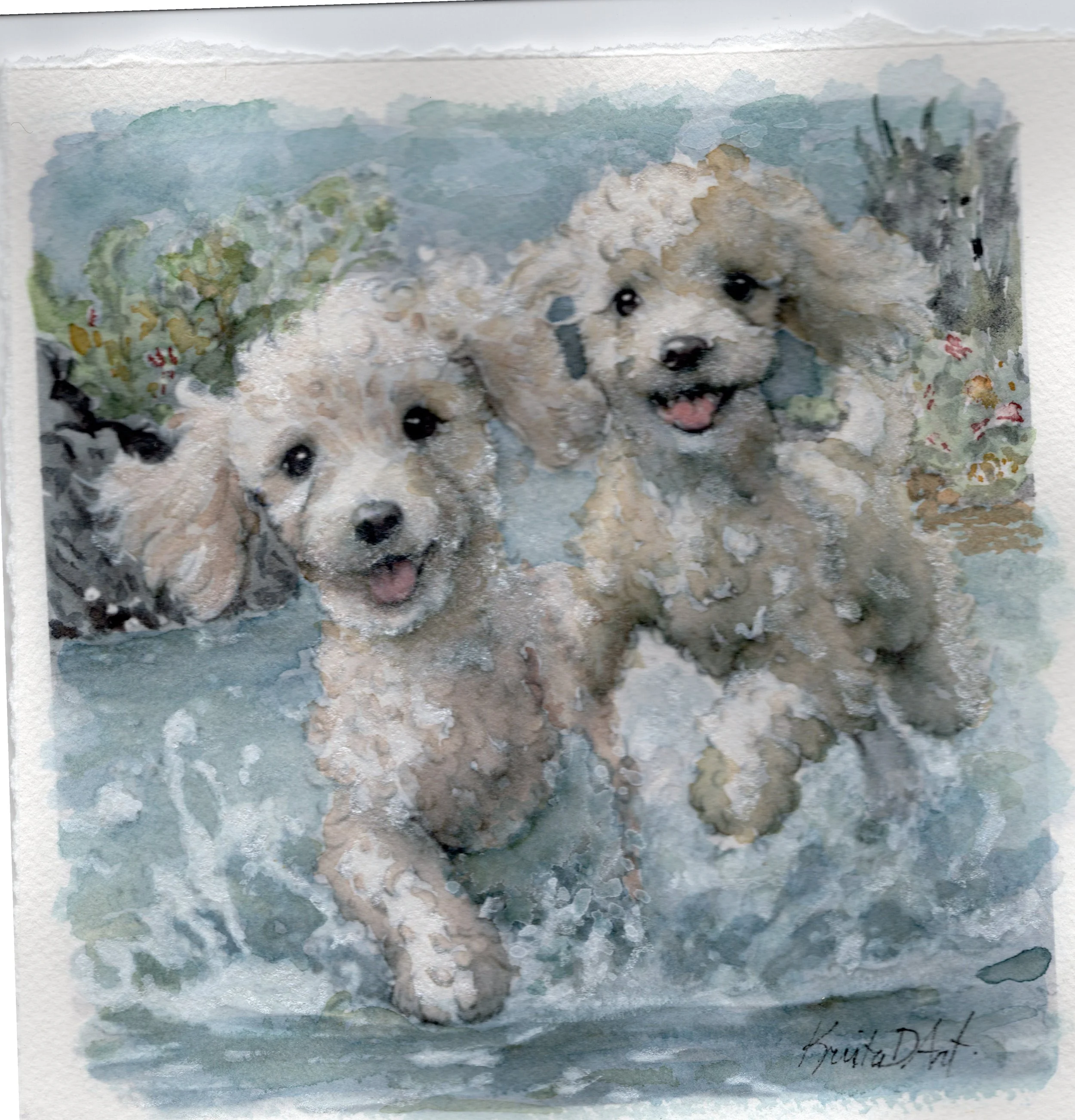 two poodles in water.jpg