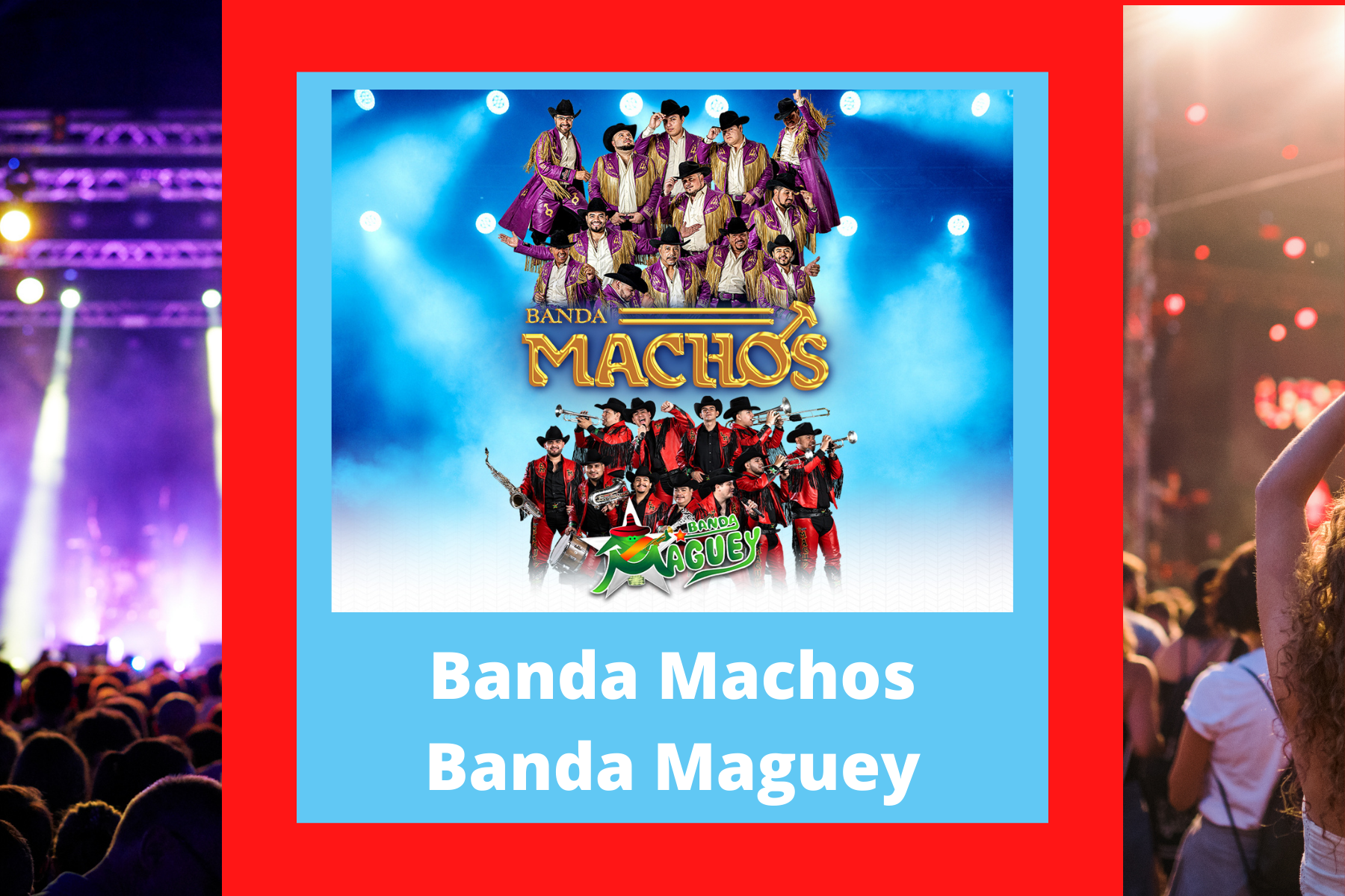 Banda Machos Y Banda Maguey