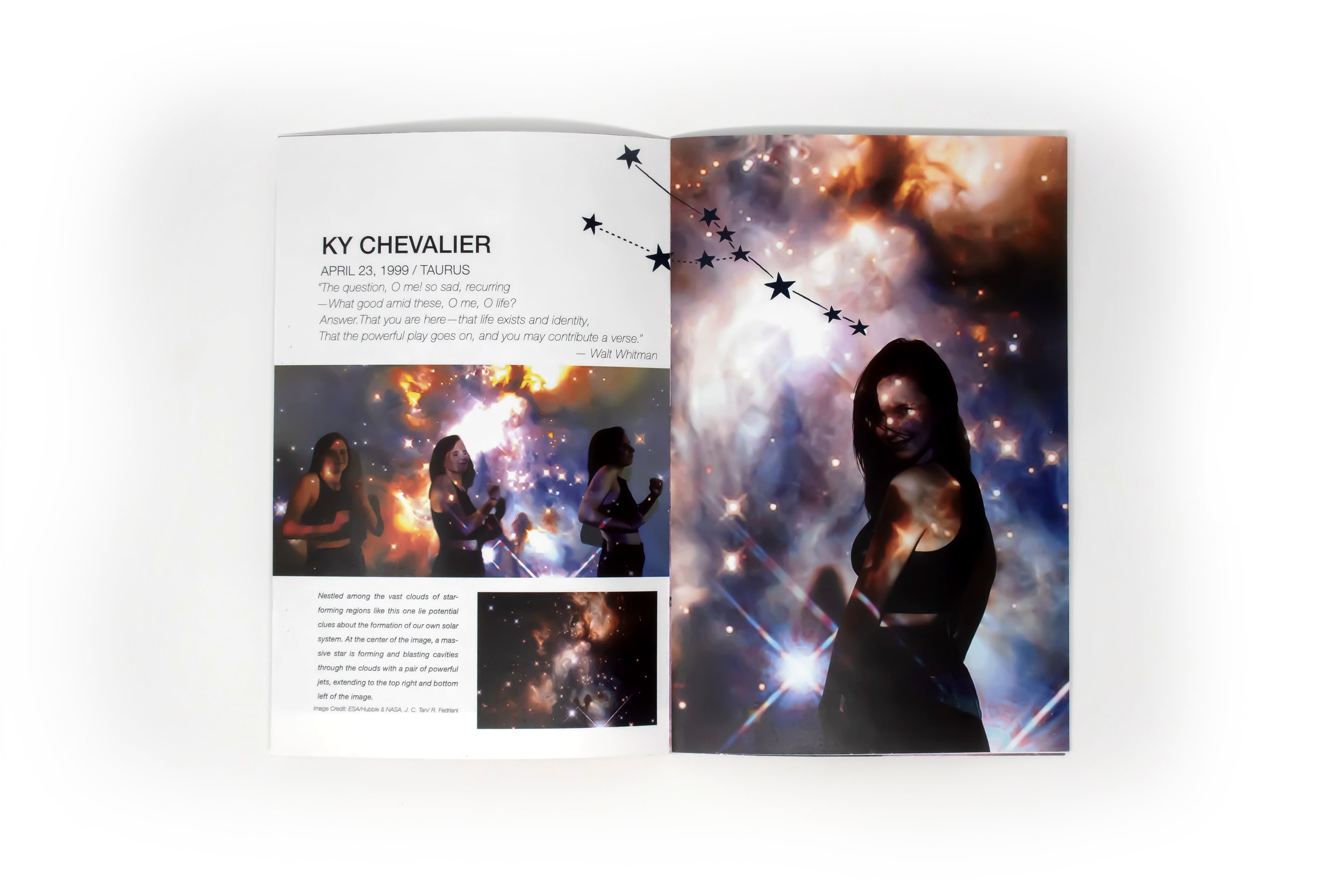 The one the Whole 3.jpg