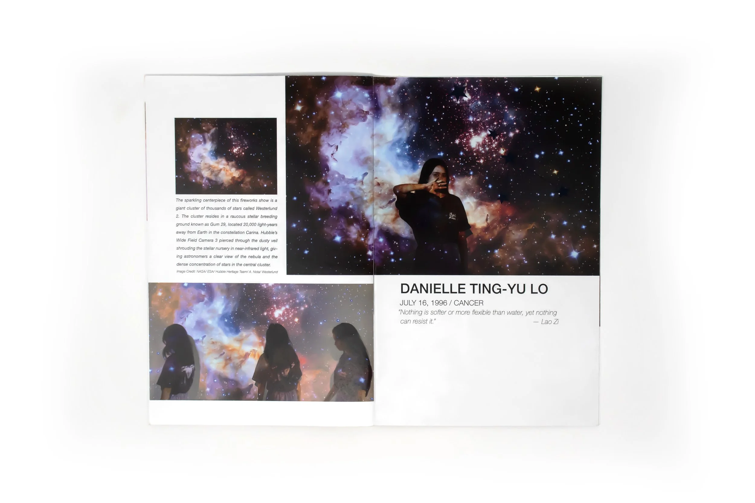 The one the Whole 5.jpg