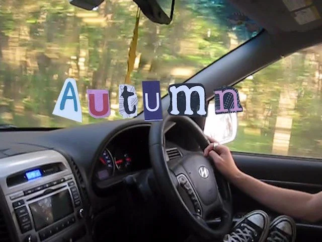 HomeVideo4_Autumn - frame at 0m17s.jpg