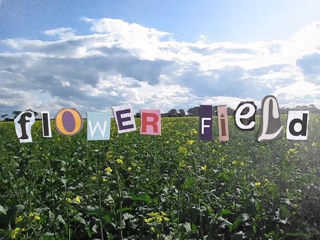 Flowerfield_Moment(3).jpg