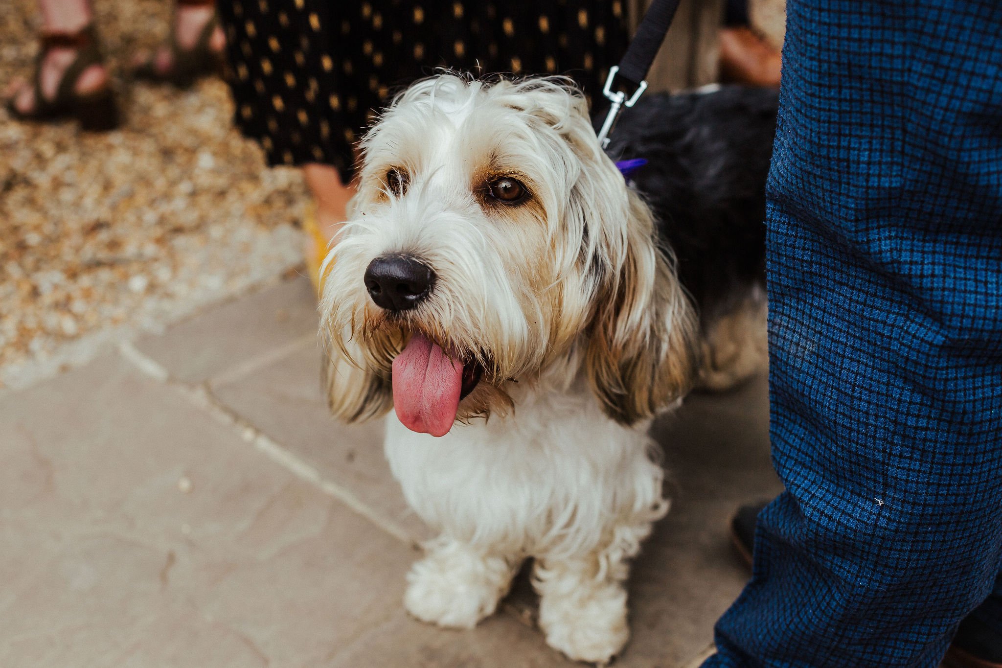 Lynne+AndyPreview-29.jpg