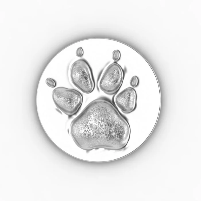 Fernandez Dog PND 1.jpg