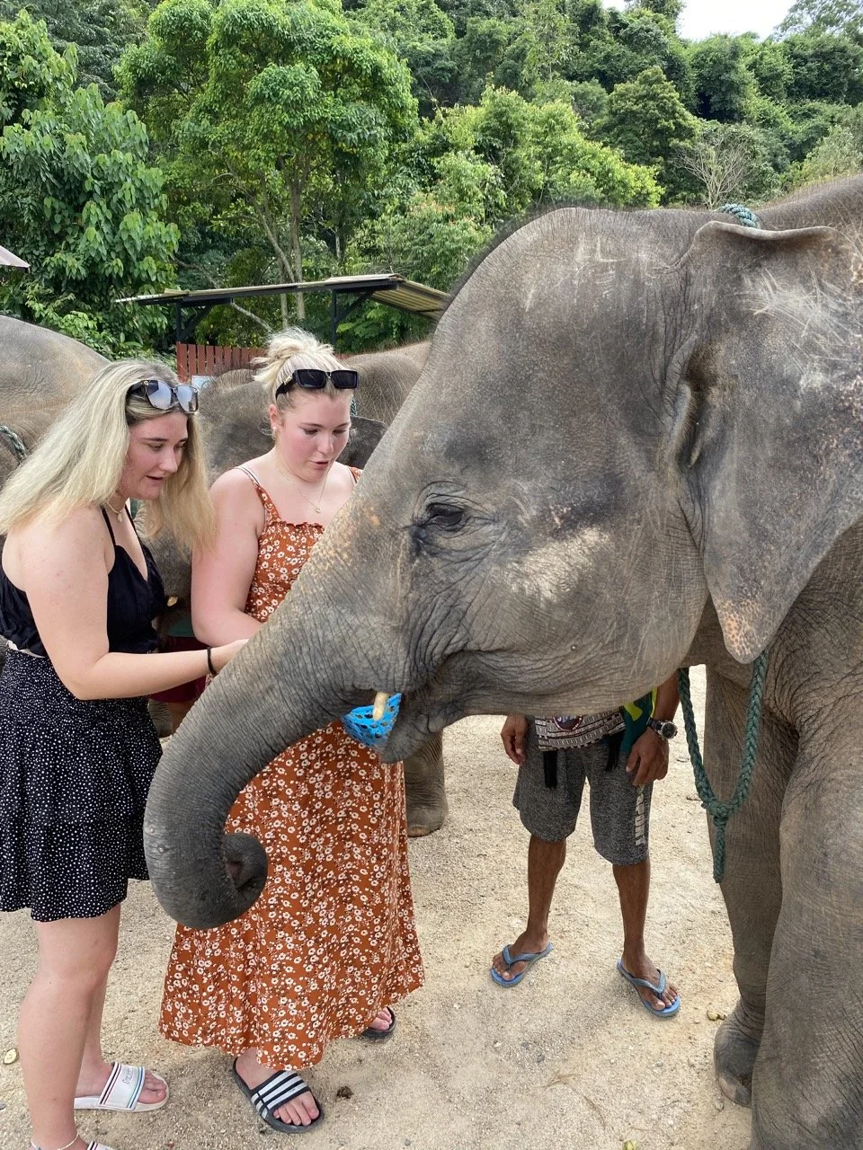 fhHG8ZM-0%21largestimage%3FMaxSize%3DImageSize4K Stor.jpeg