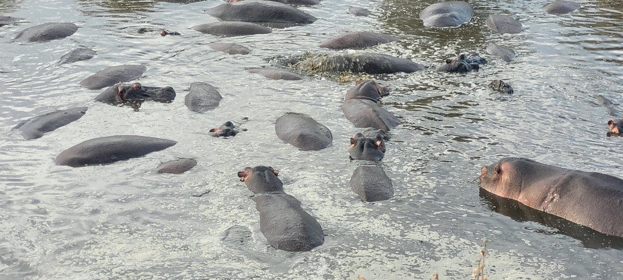 v8GJDrn-0%21largestimage%3FMaxSize%3DImageSize4K – stort.jpeg